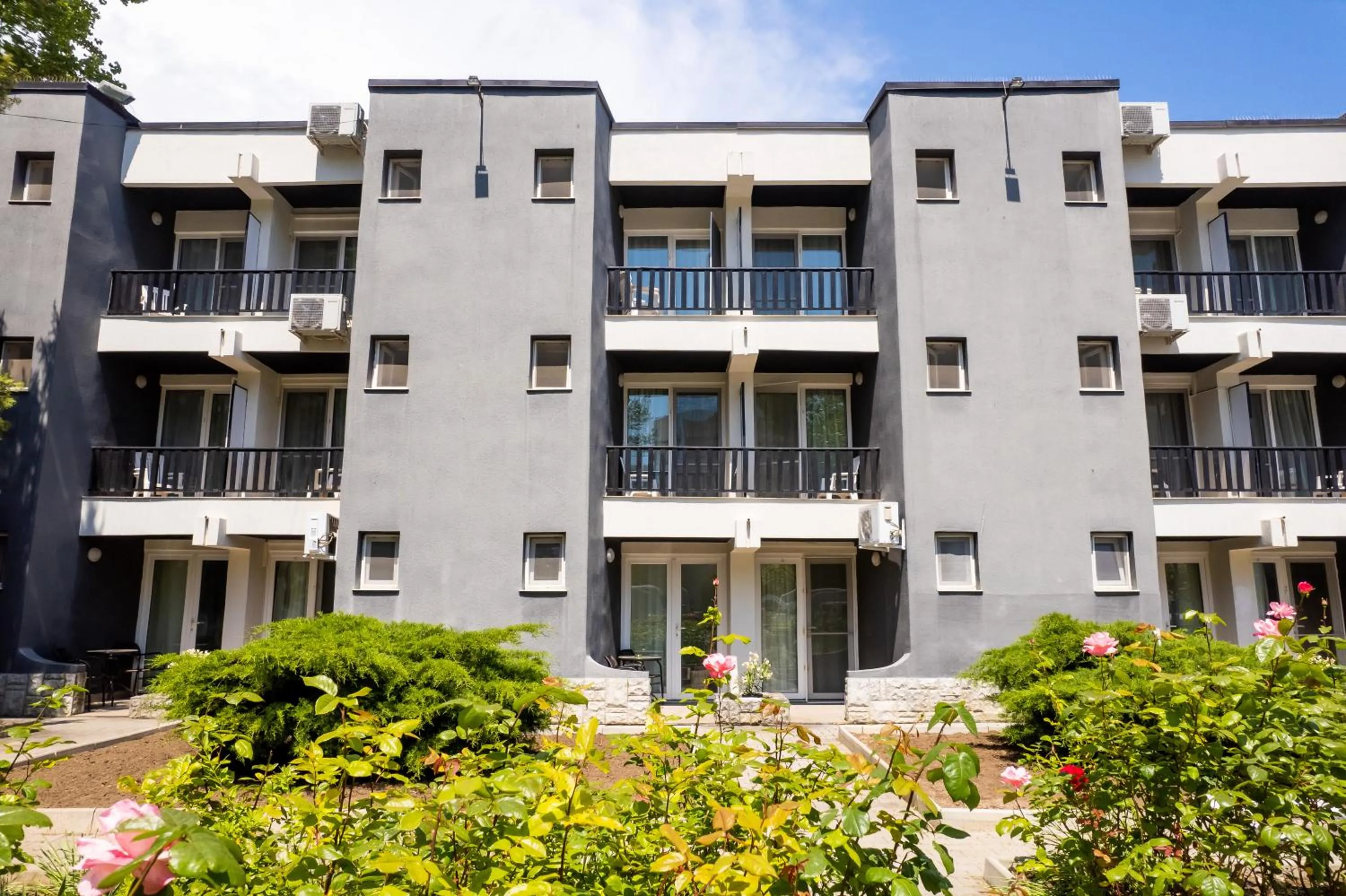 Complex Paloma Coral