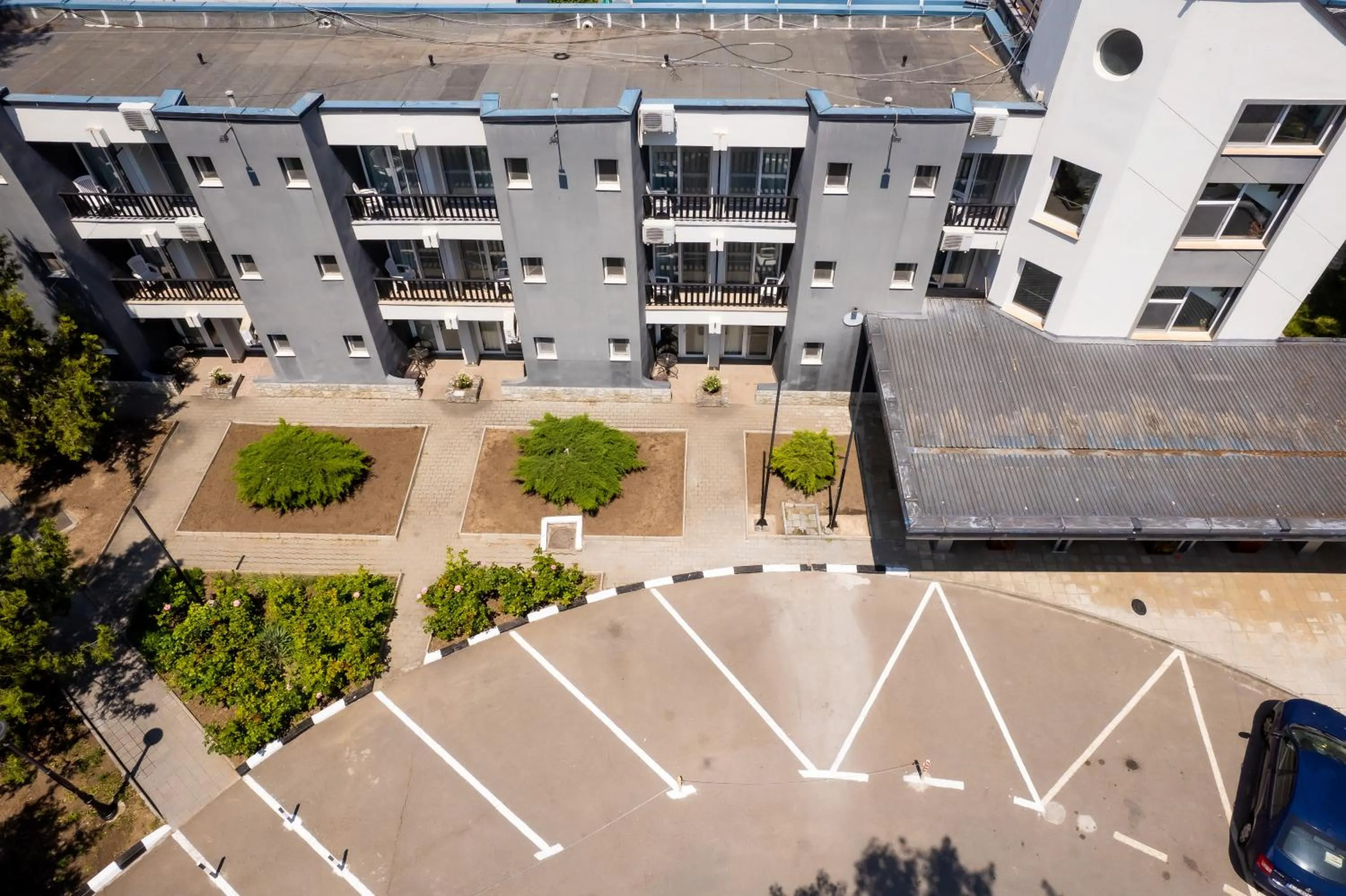 Complex Paloma Coral