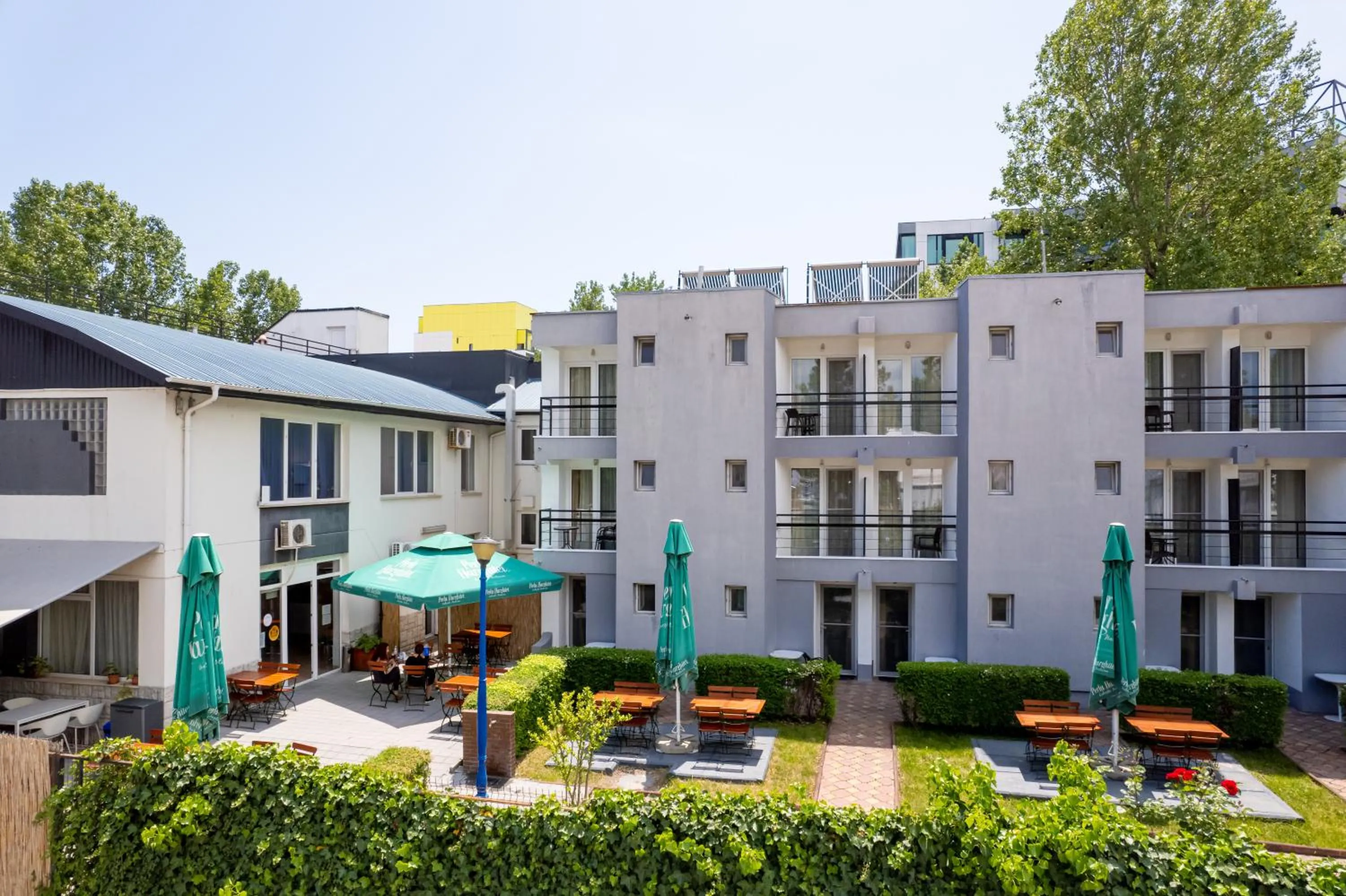 Complex Paloma Coral