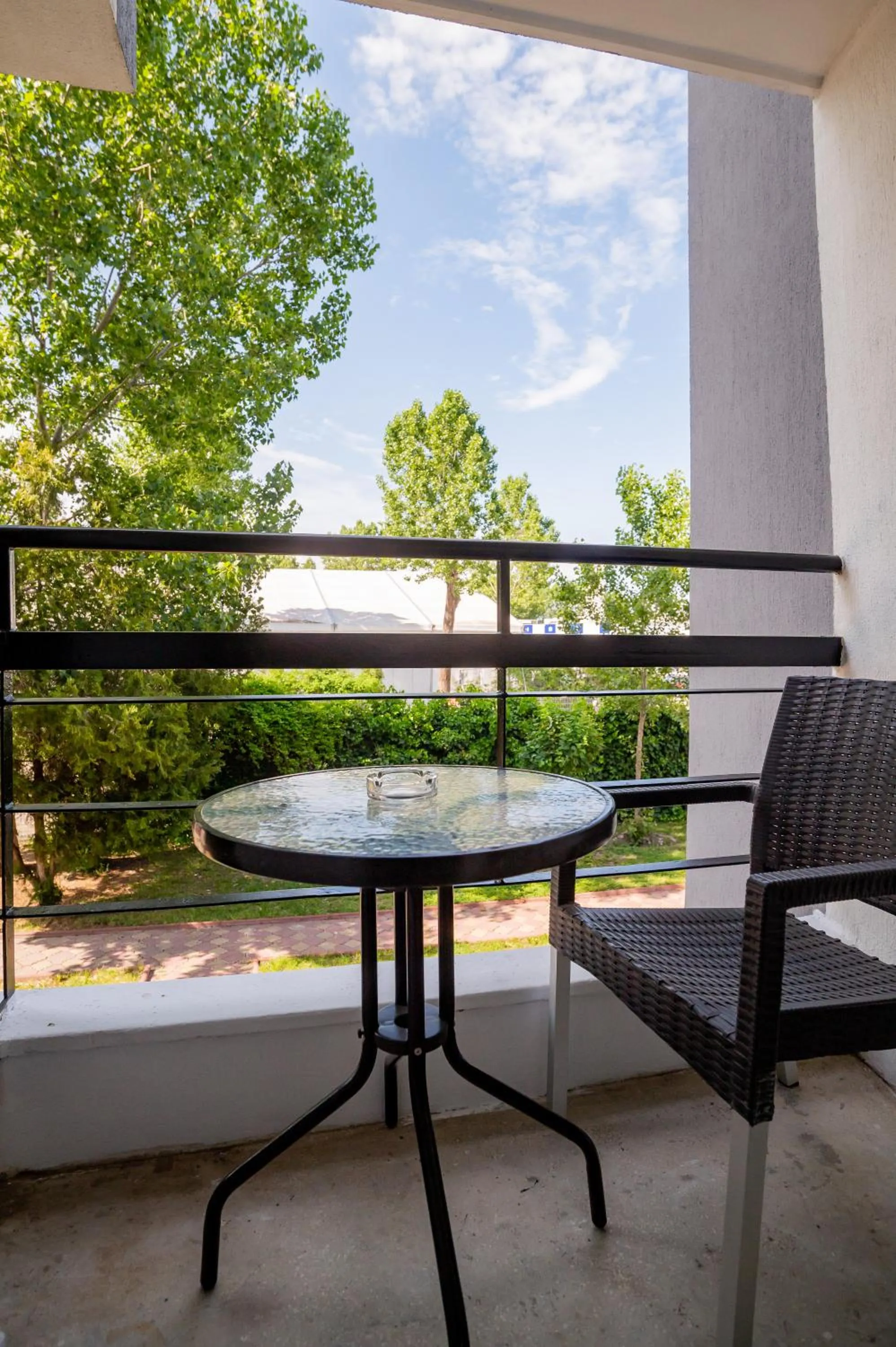 Complex Paloma Coral