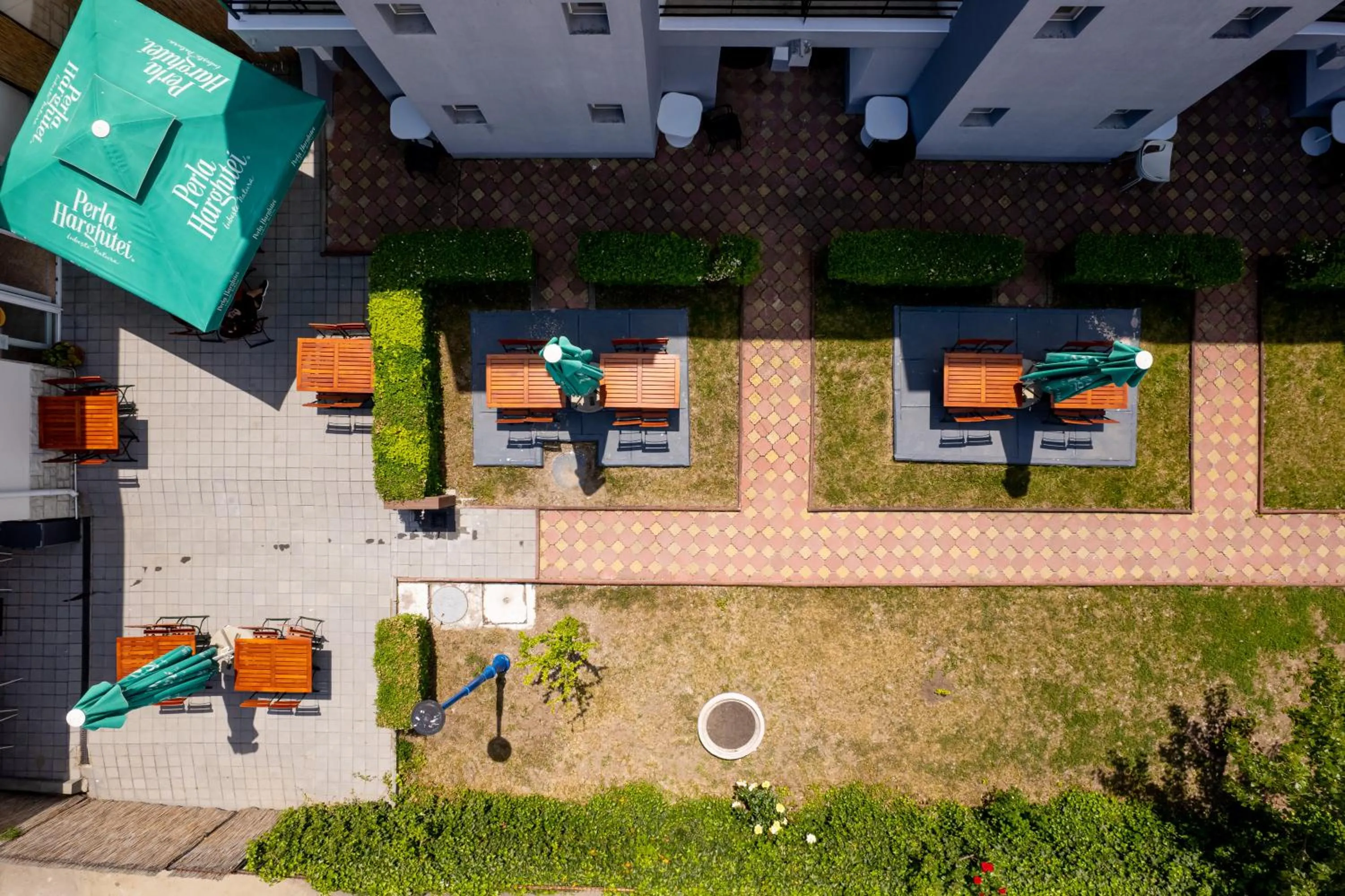 Complex Paloma Coral