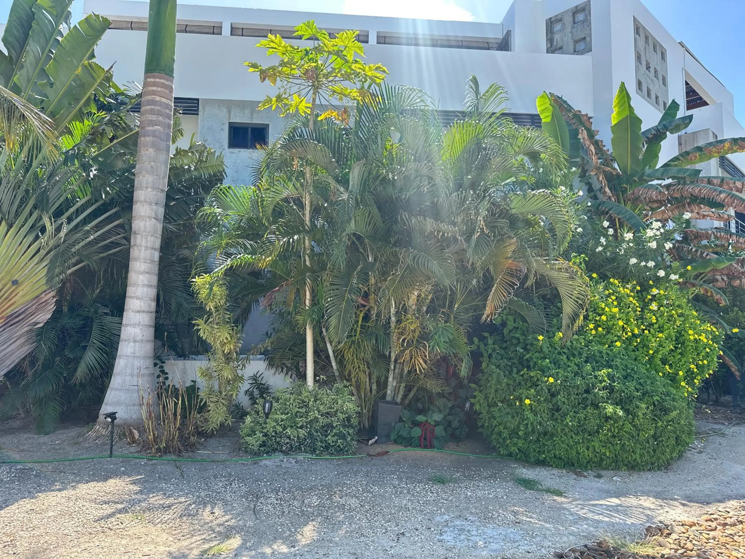 Garden in Playa De Sala Boutique Hotel
