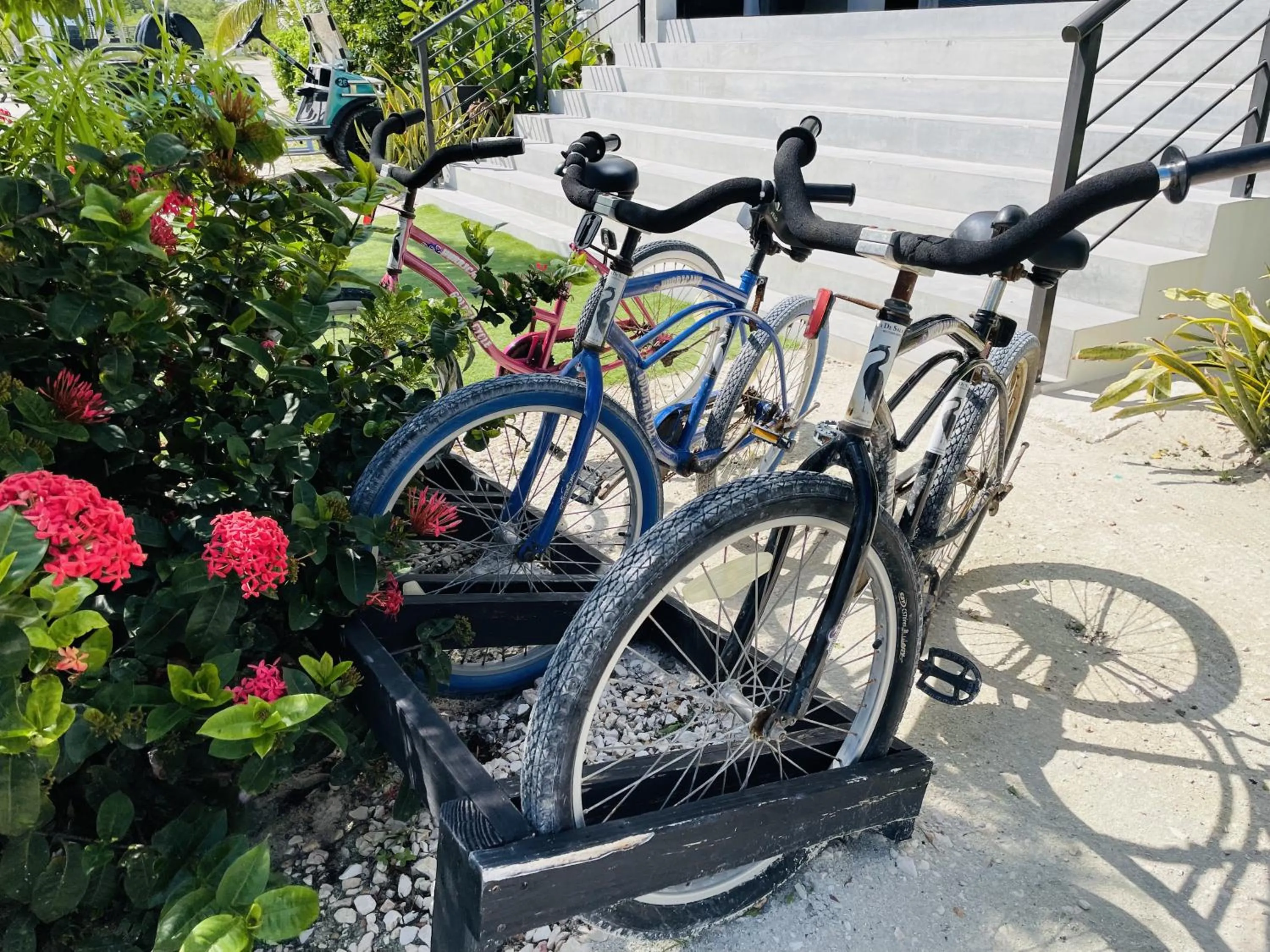 Day in Playa De Sala Boutique Hotel