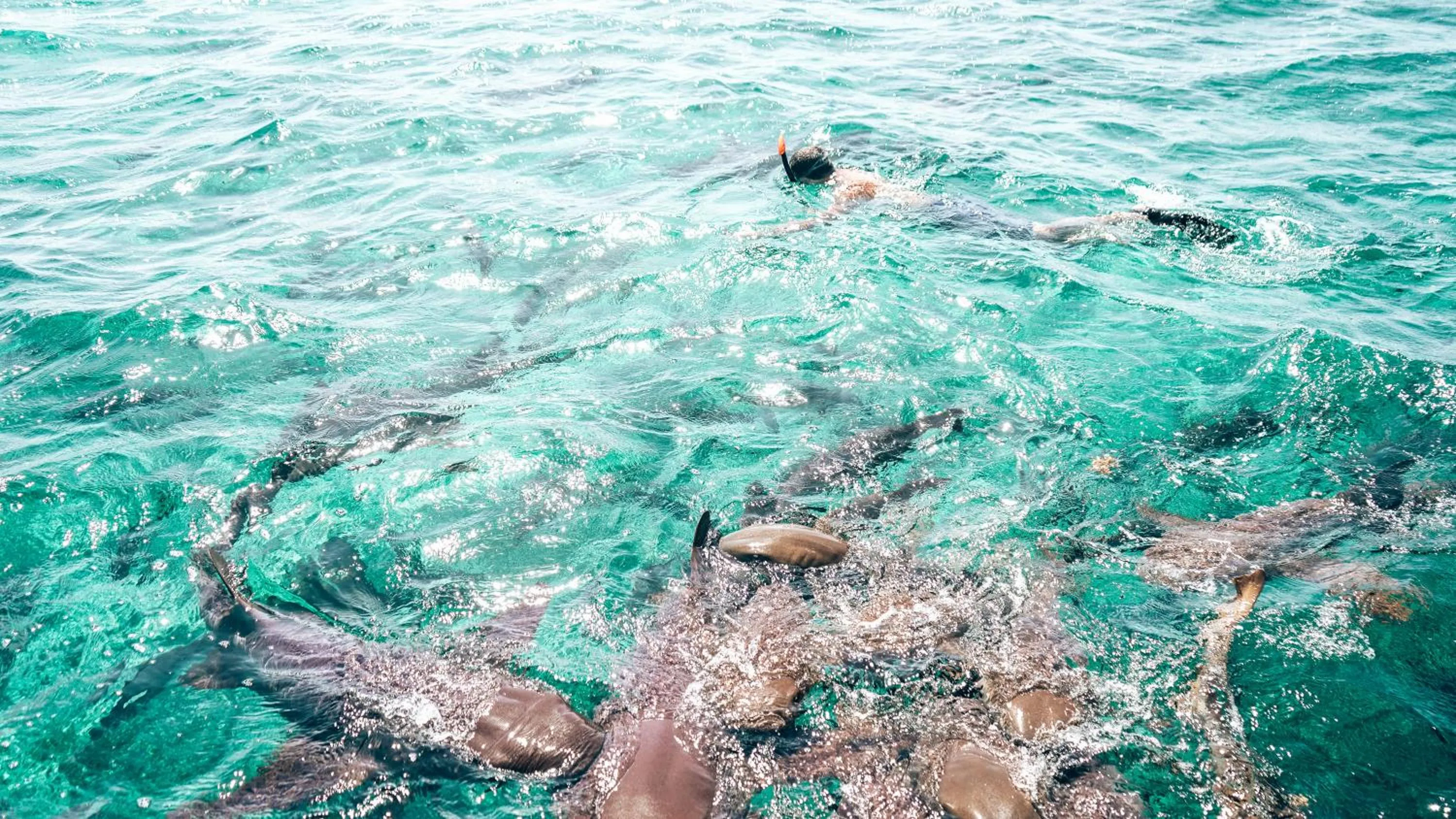 Activities in Playa De Sala Boutique Hotel