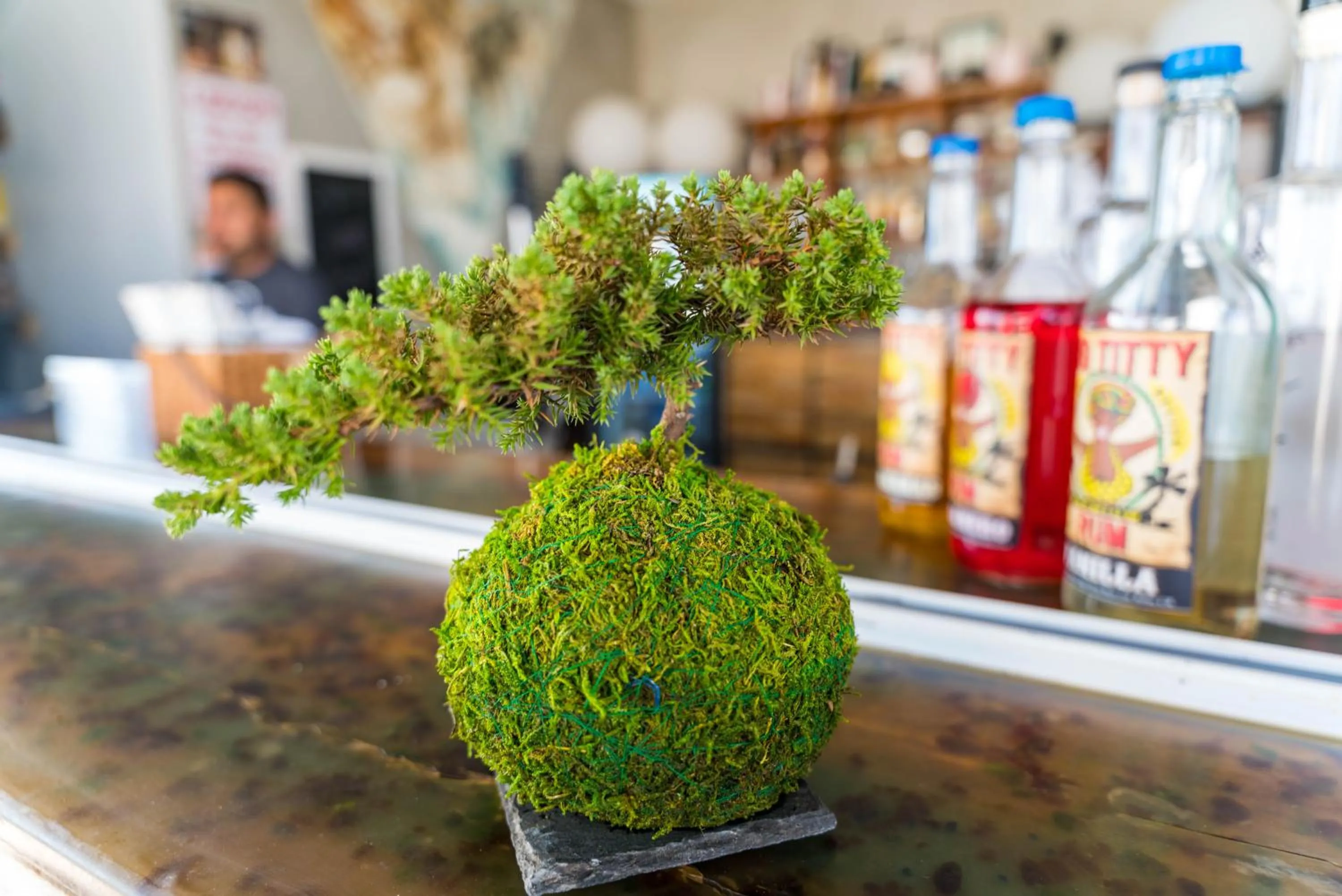 Lounge or bar in Playa De Sala Boutique Hotel