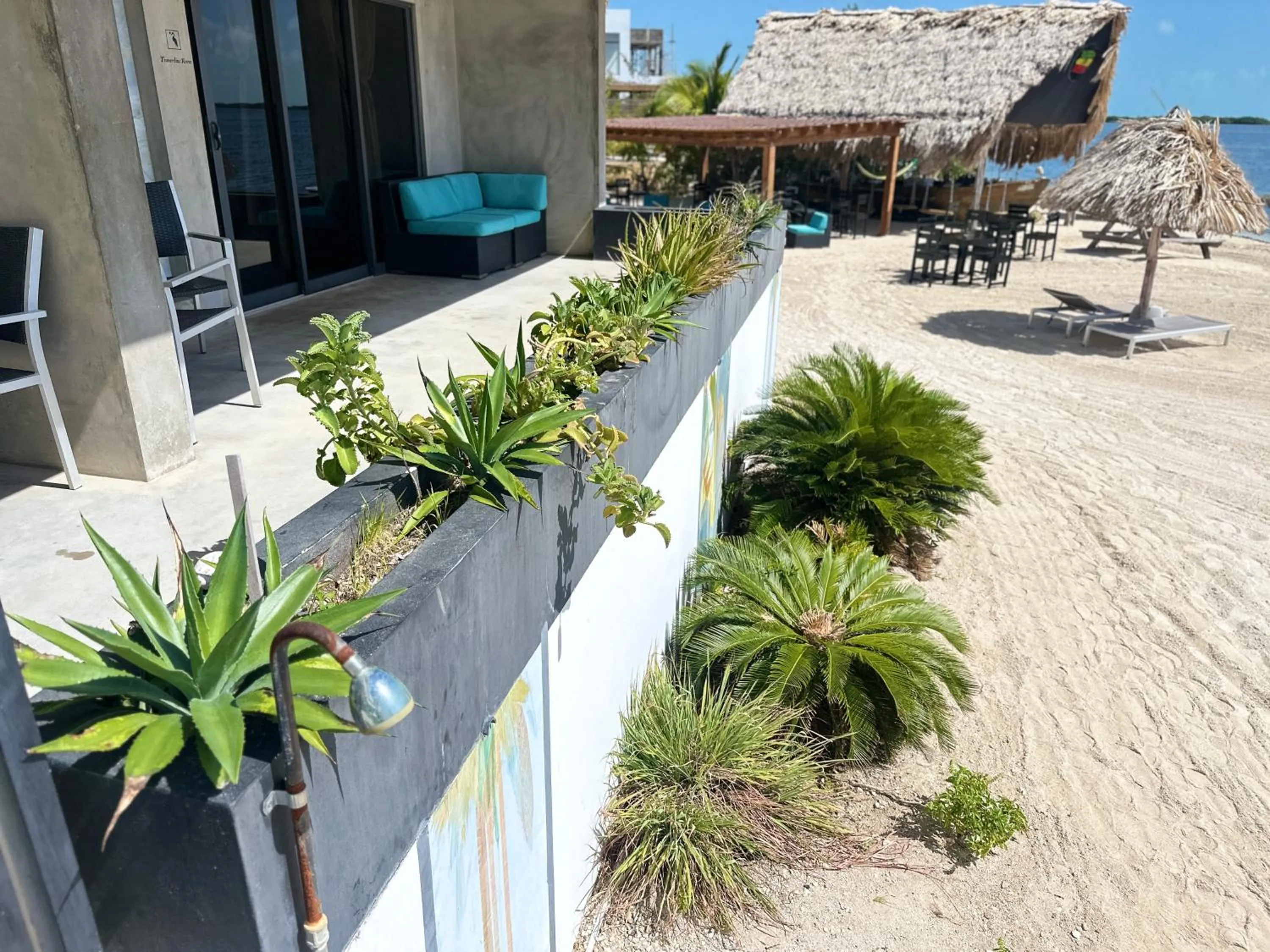 Garden in Playa De Sala Boutique Hotel