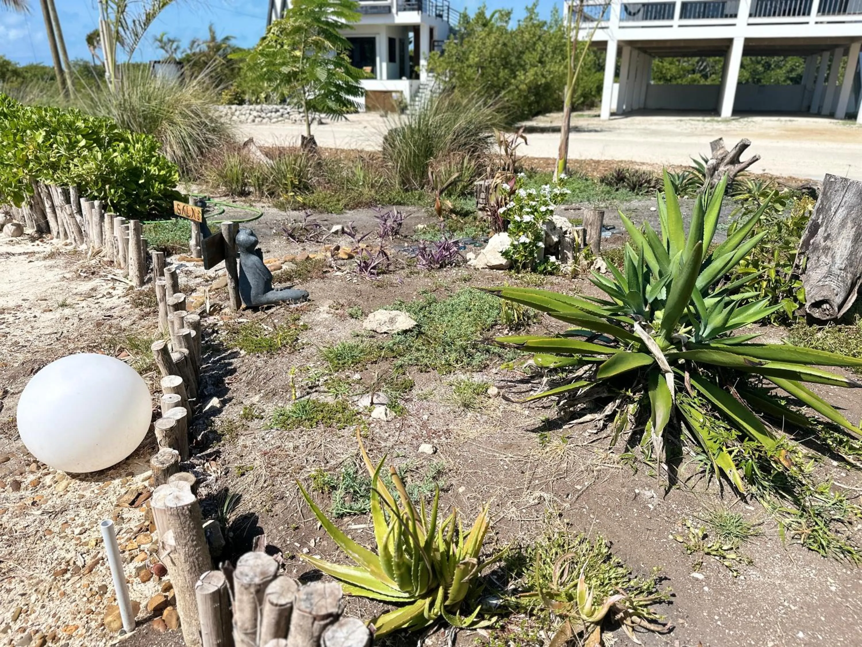 Garden in Playa De Sala Boutique Hotel