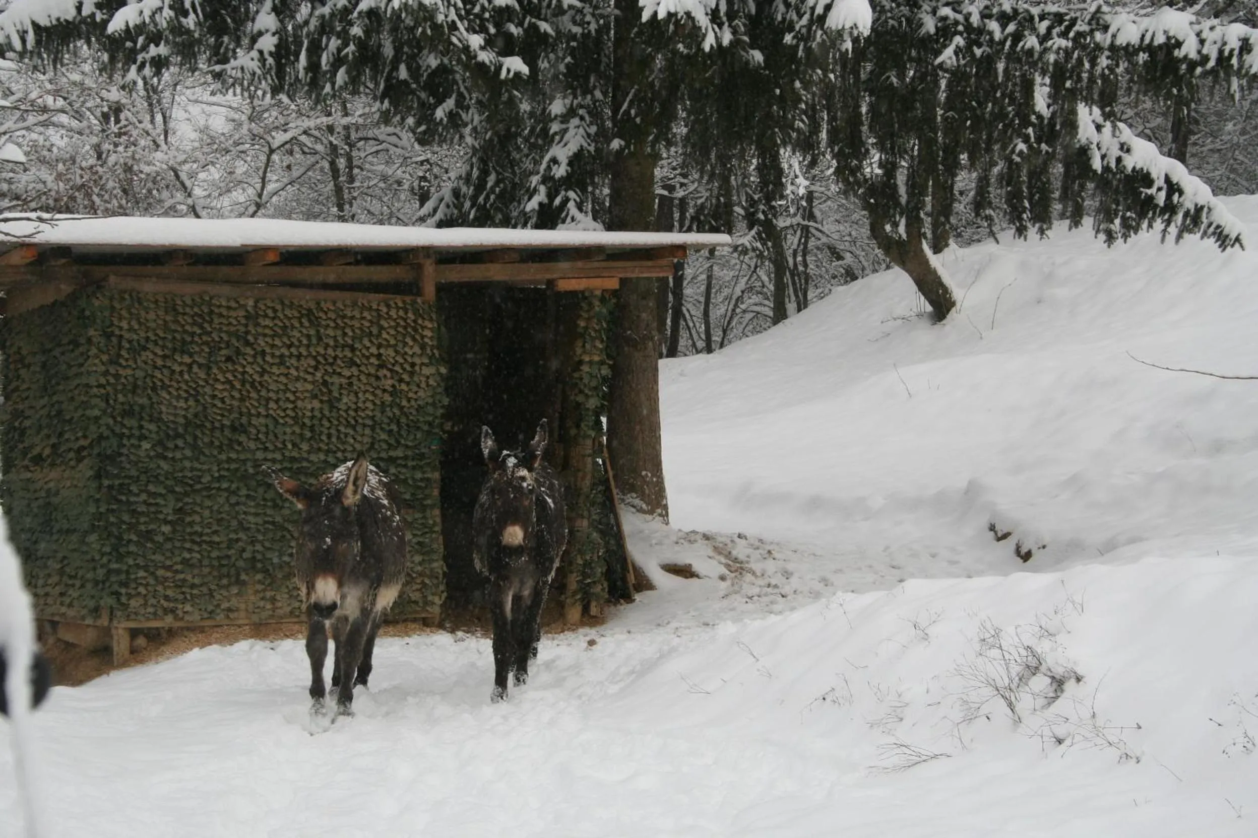 Property building in B&B La Casa Di Campagna