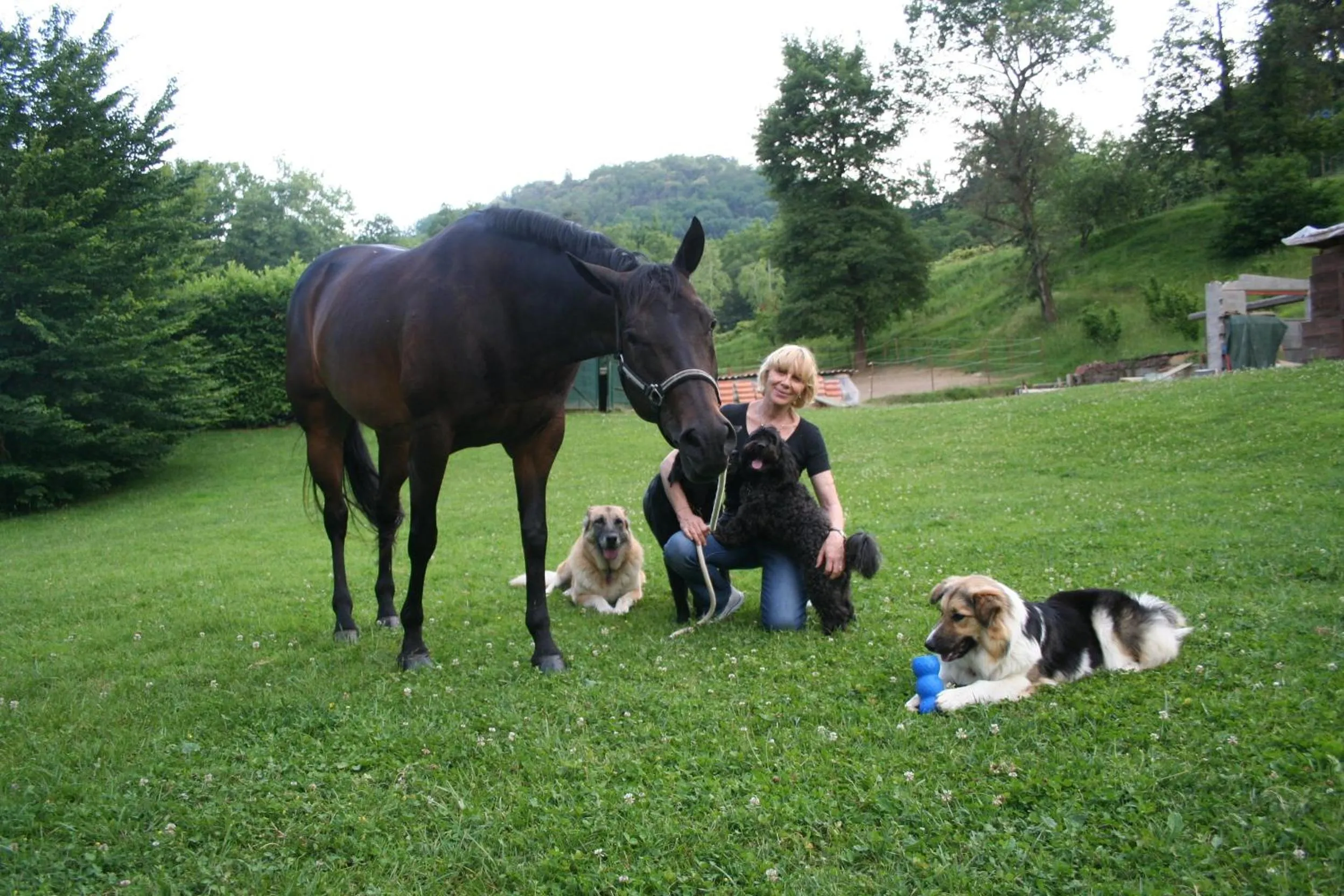 Animals in B&B La Casa Di Campagna