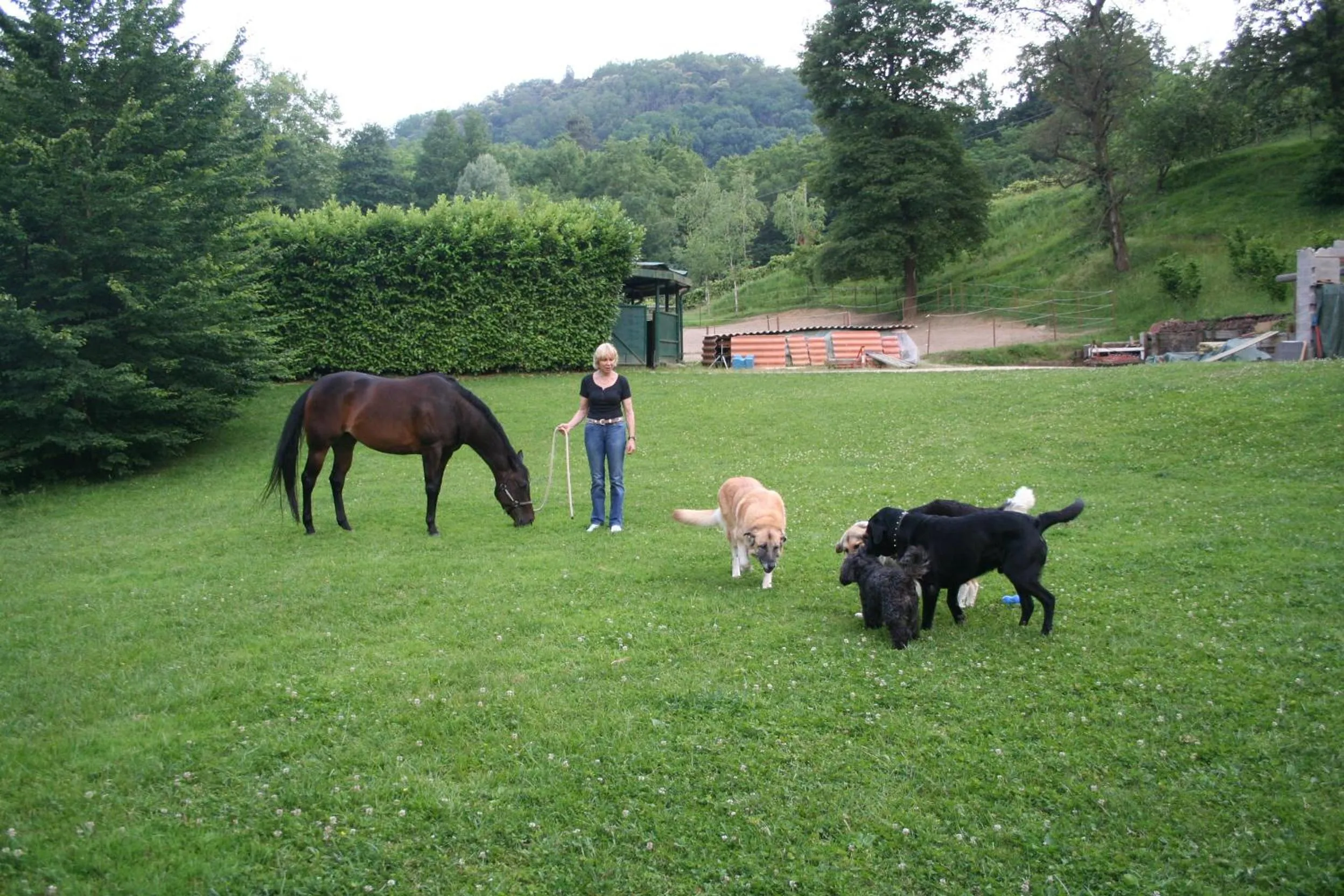 Animals in B&B La Casa Di Campagna