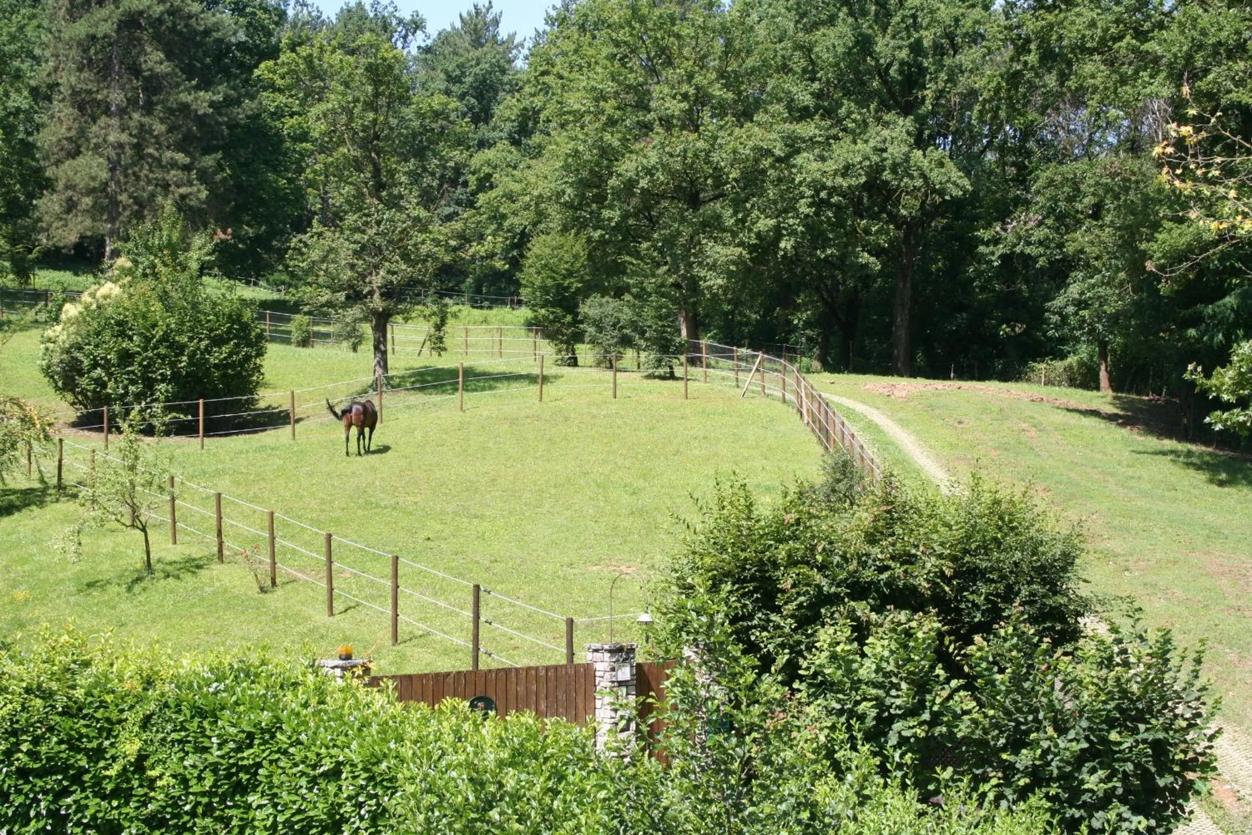 Garden in B&B La Casa Di Campagna