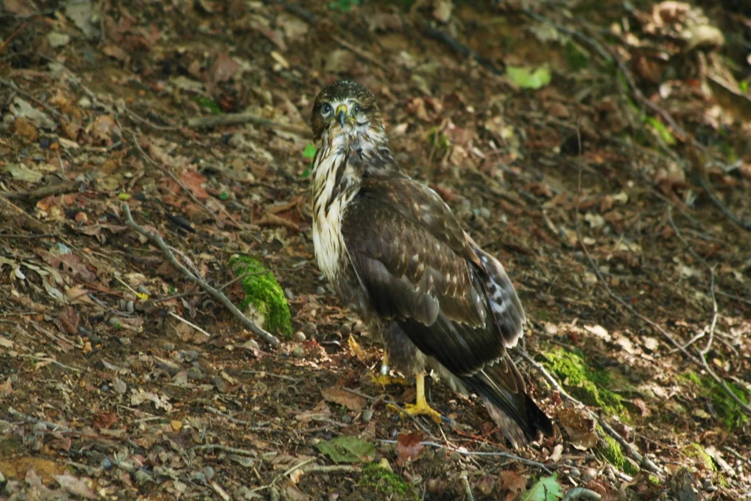 Day in B&B La Casa Di Campagna