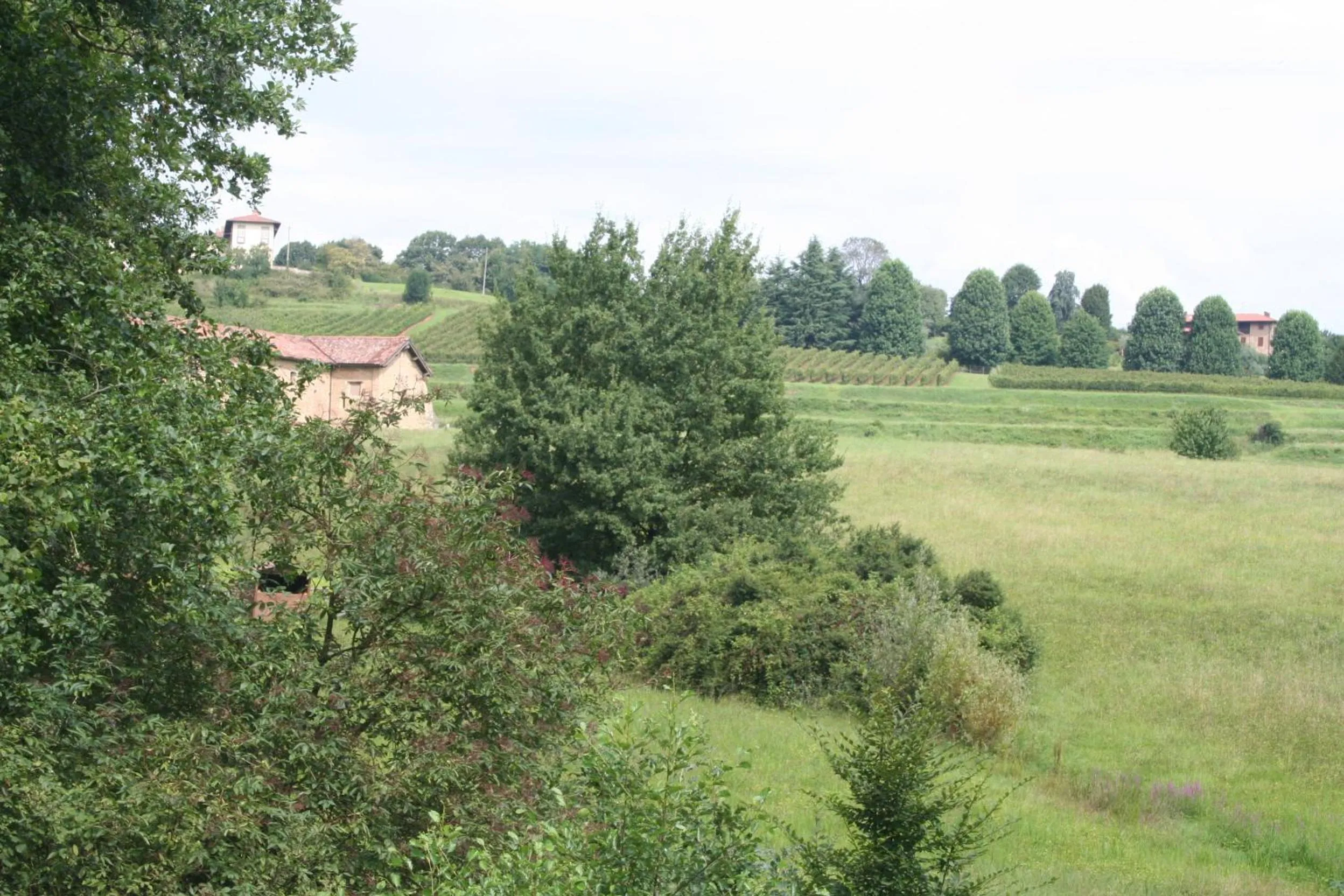Garden in B&B La Casa Di Campagna