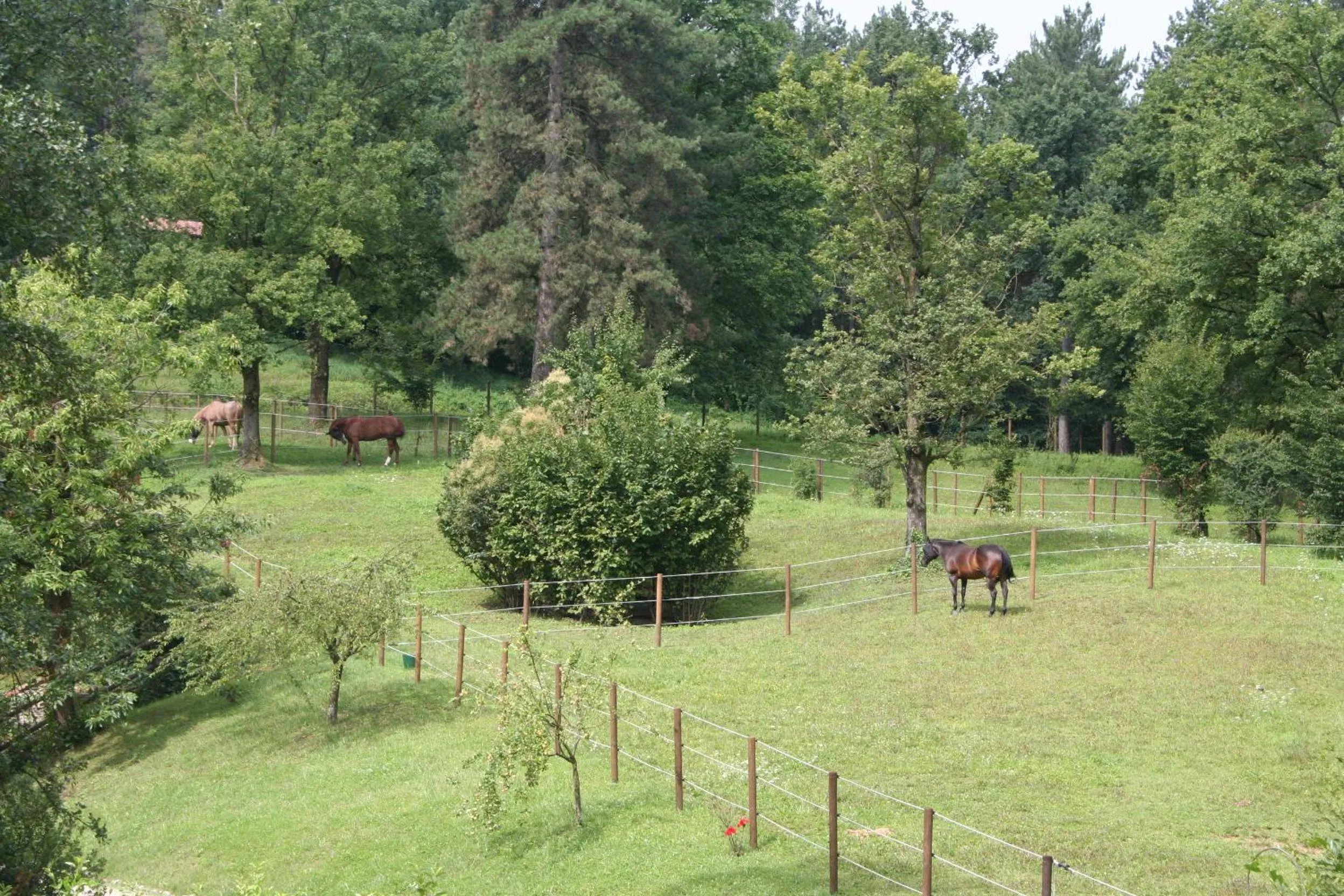 Garden in B&B La Casa Di Campagna