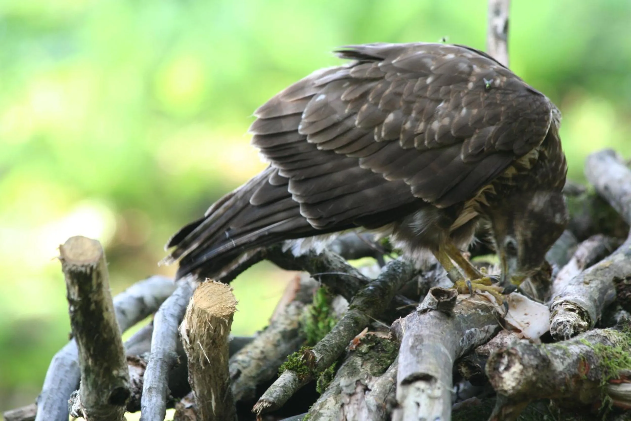 Day in B&B La Casa Di Campagna