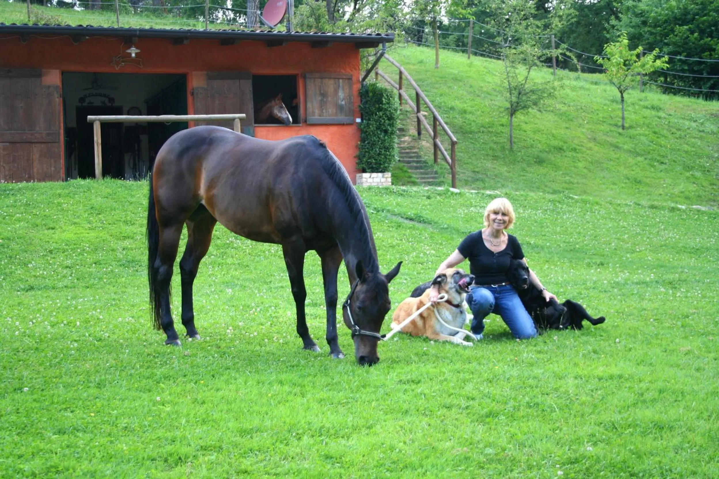 Animals in B&B La Casa Di Campagna