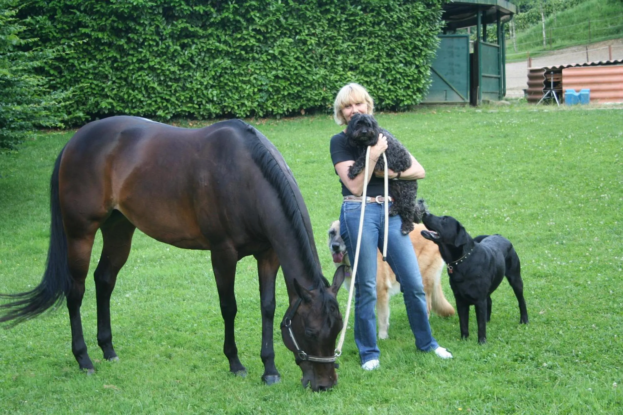 Animals in B&B La Casa Di Campagna
