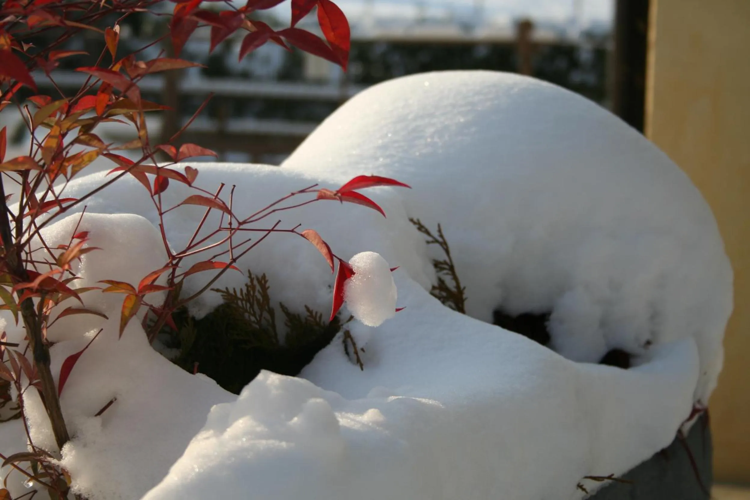 Decorative detail in B&B La Casa Di Campagna