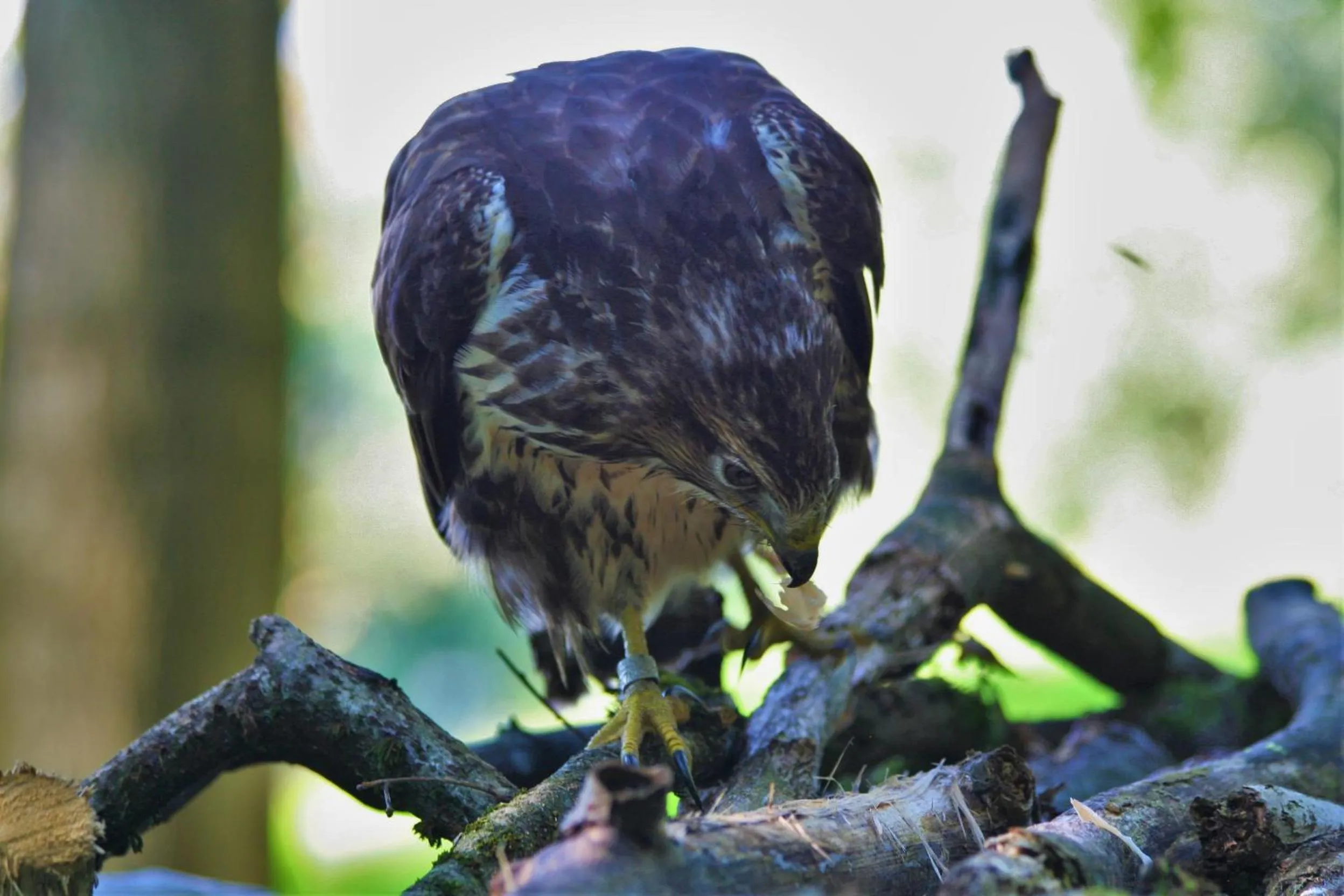 Day in B&B La Casa Di Campagna