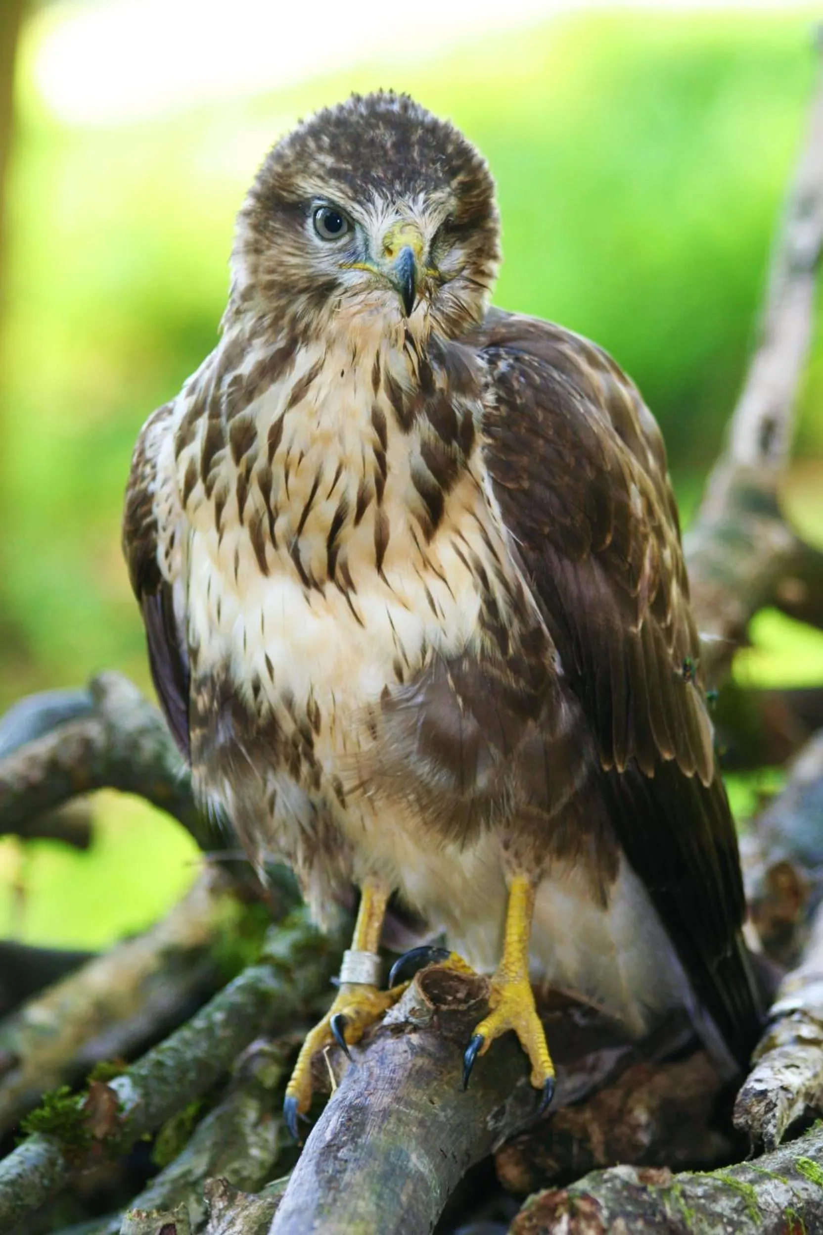 Day in B&B La Casa Di Campagna