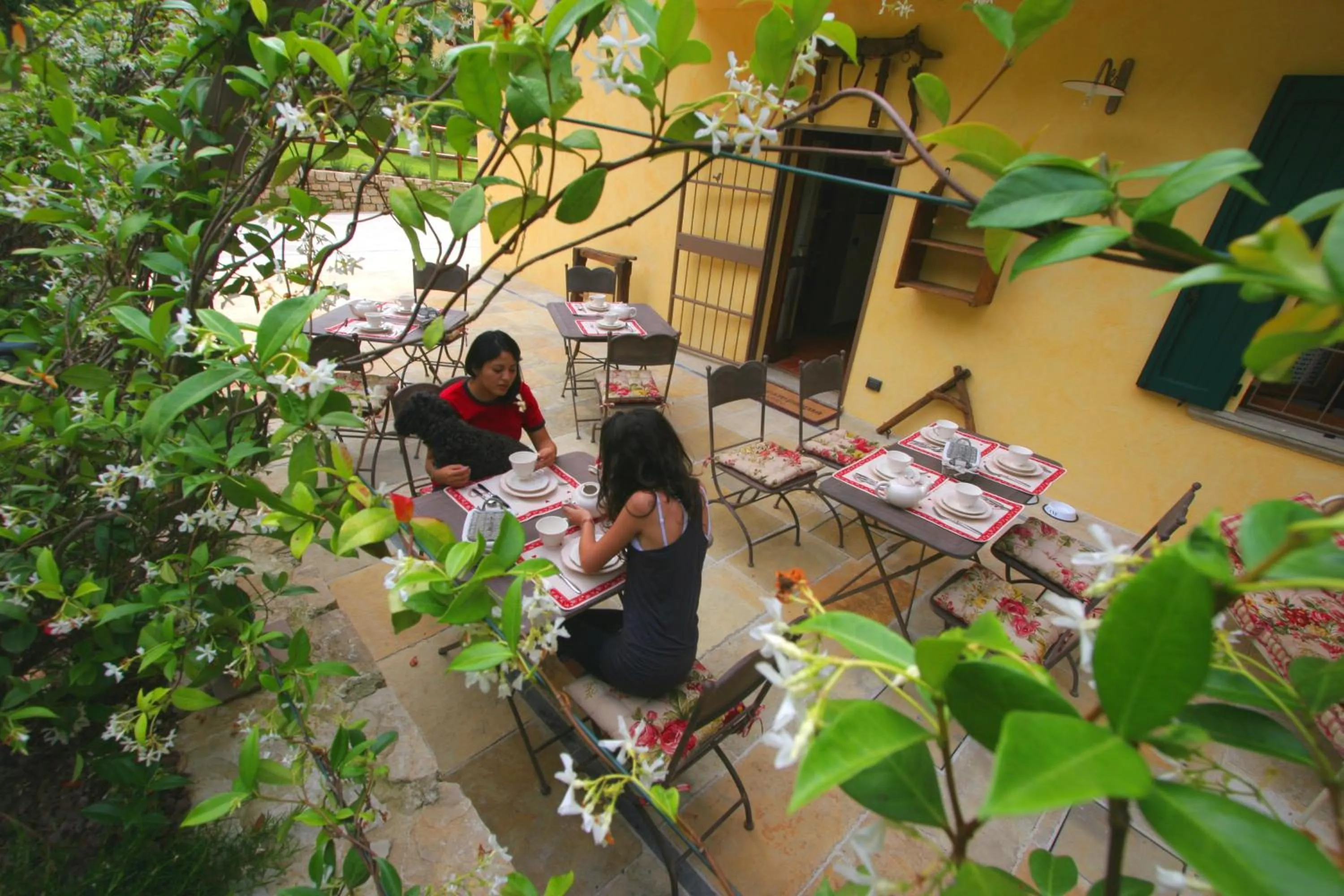 Restaurant/places to eat in B&B La Casa Di Campagna