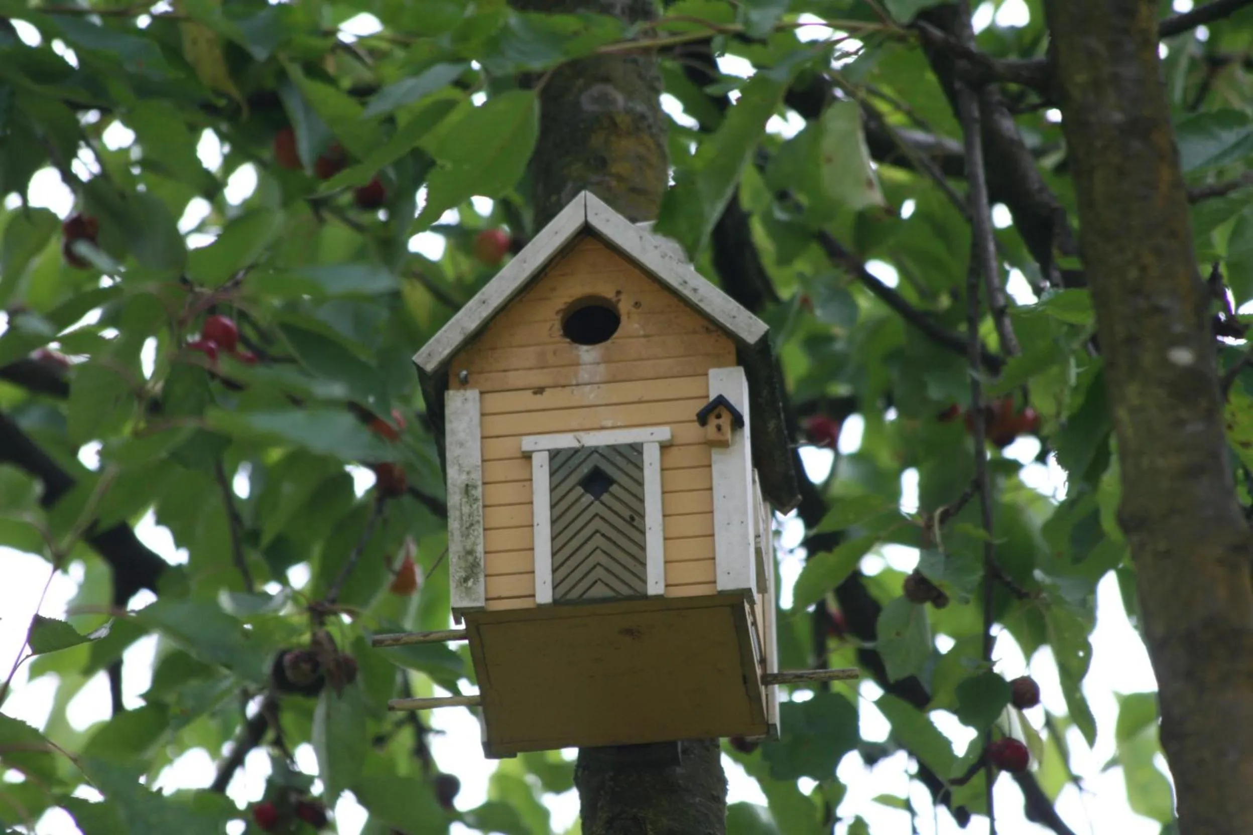 Decorative detail in B&B La Casa Di Campagna