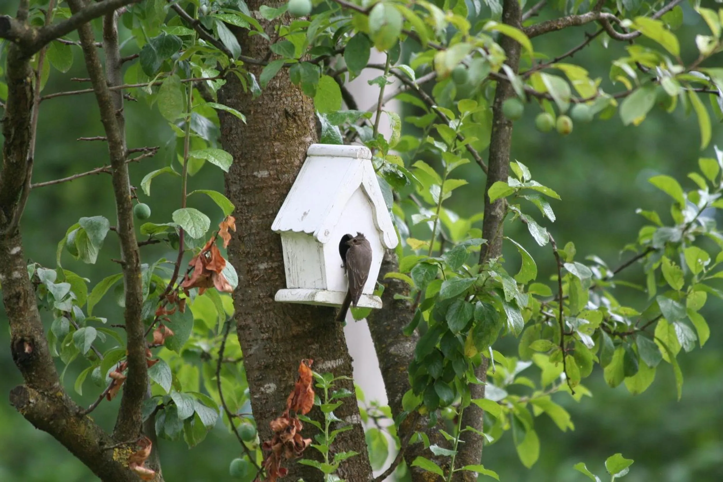 Decorative detail in B&B La Casa Di Campagna