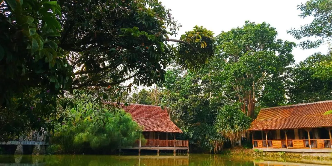 Sapulidi Cafe, Gallery & Resort