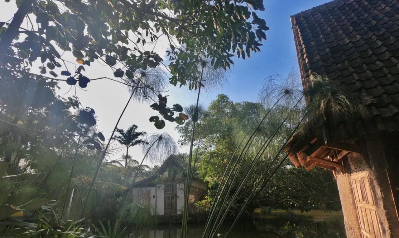 Sapulidi Cafe, Gallery & Resort