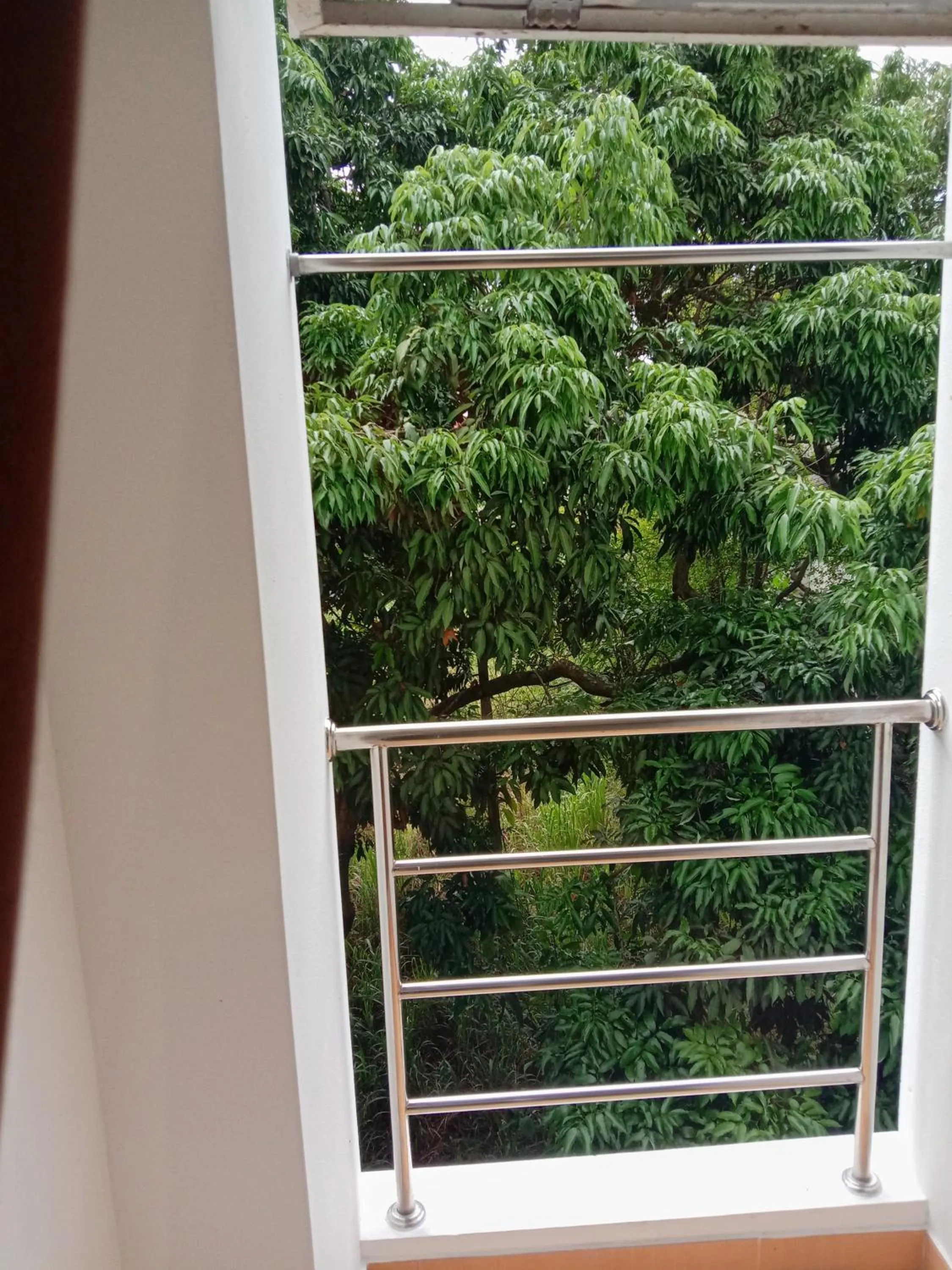 Balcony/Terrace in Common Living