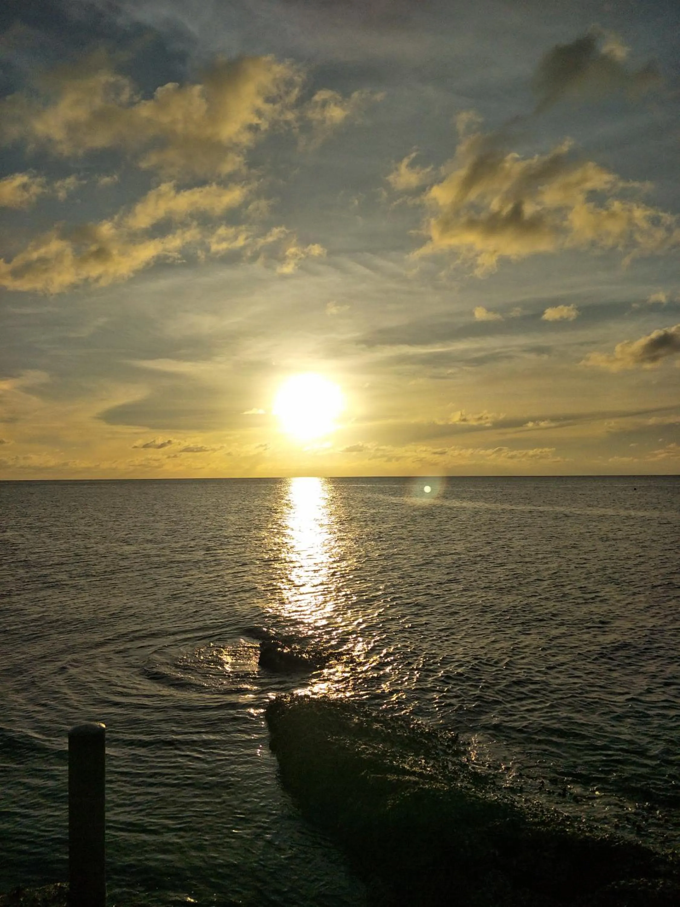 Natural landscape in Moondance Magic View Bungalow