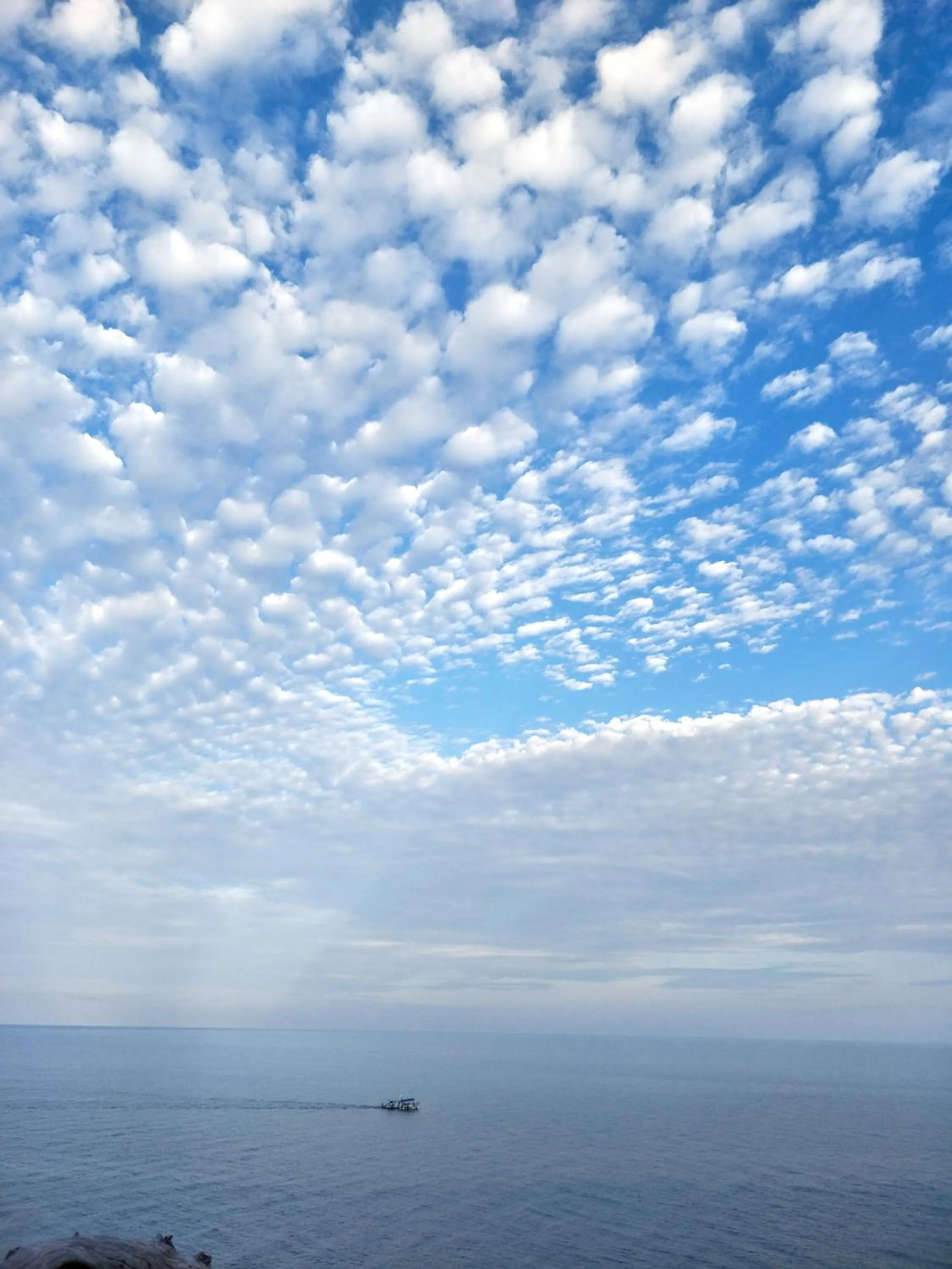 Natural landscape in Moondance Magic View Bungalow