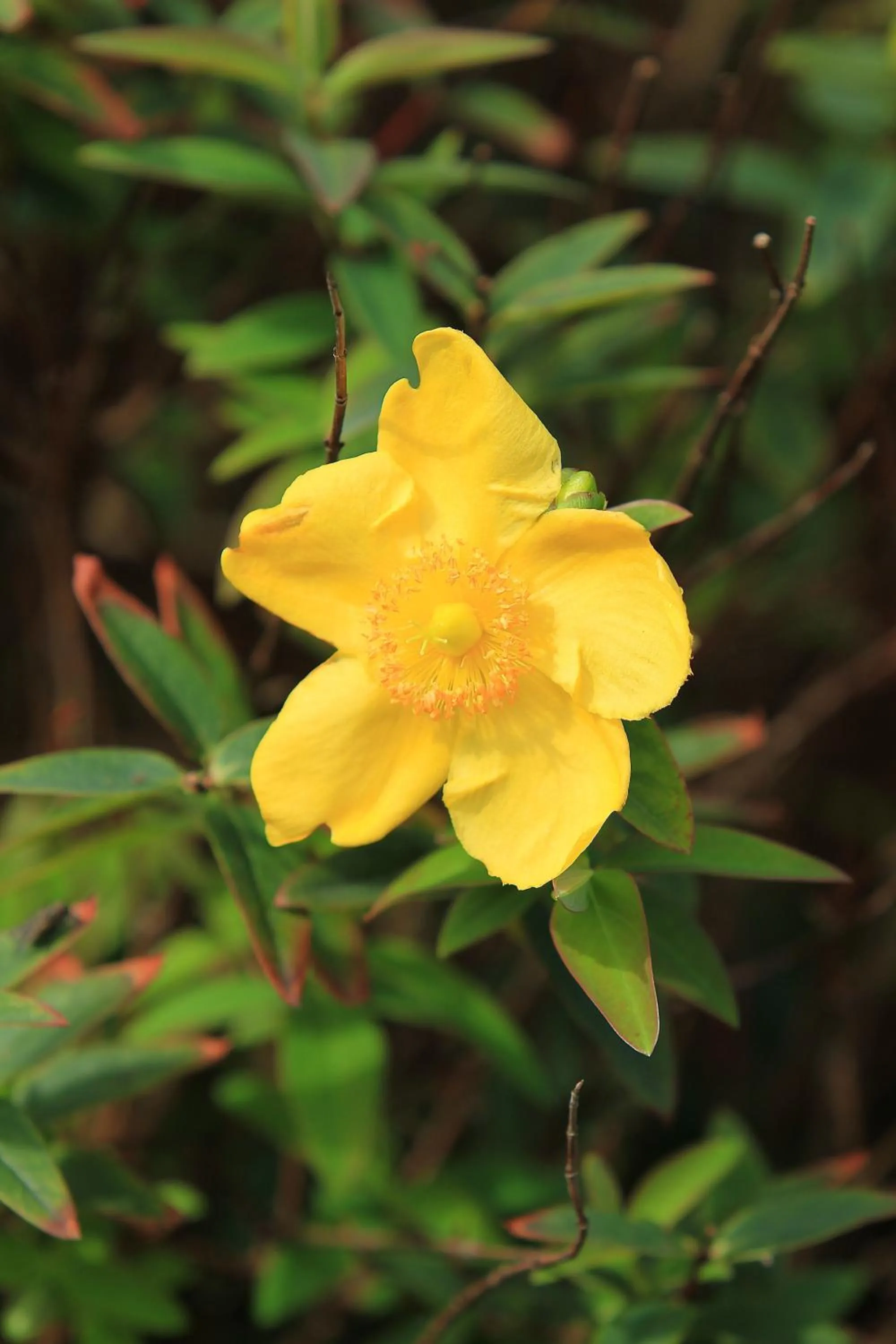 Spring in Parkhouse B&B