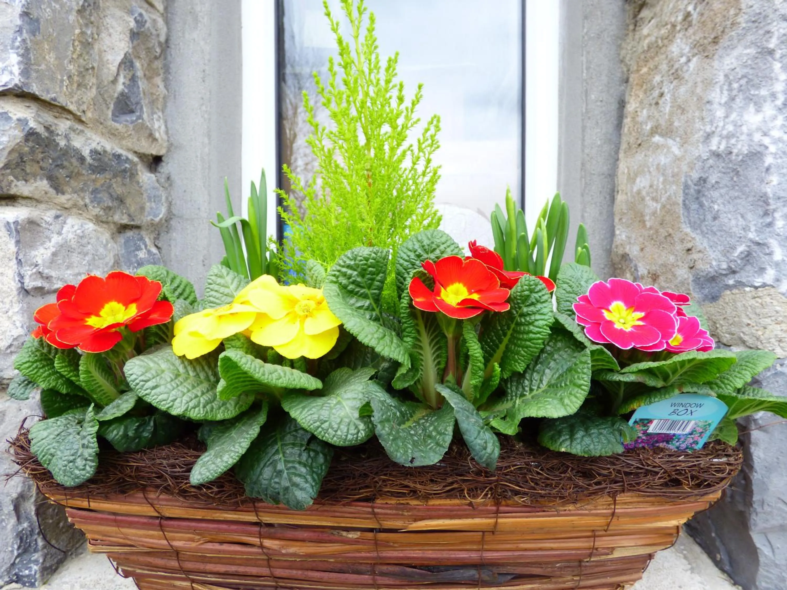 Nearby landmark in Parkhouse B&B