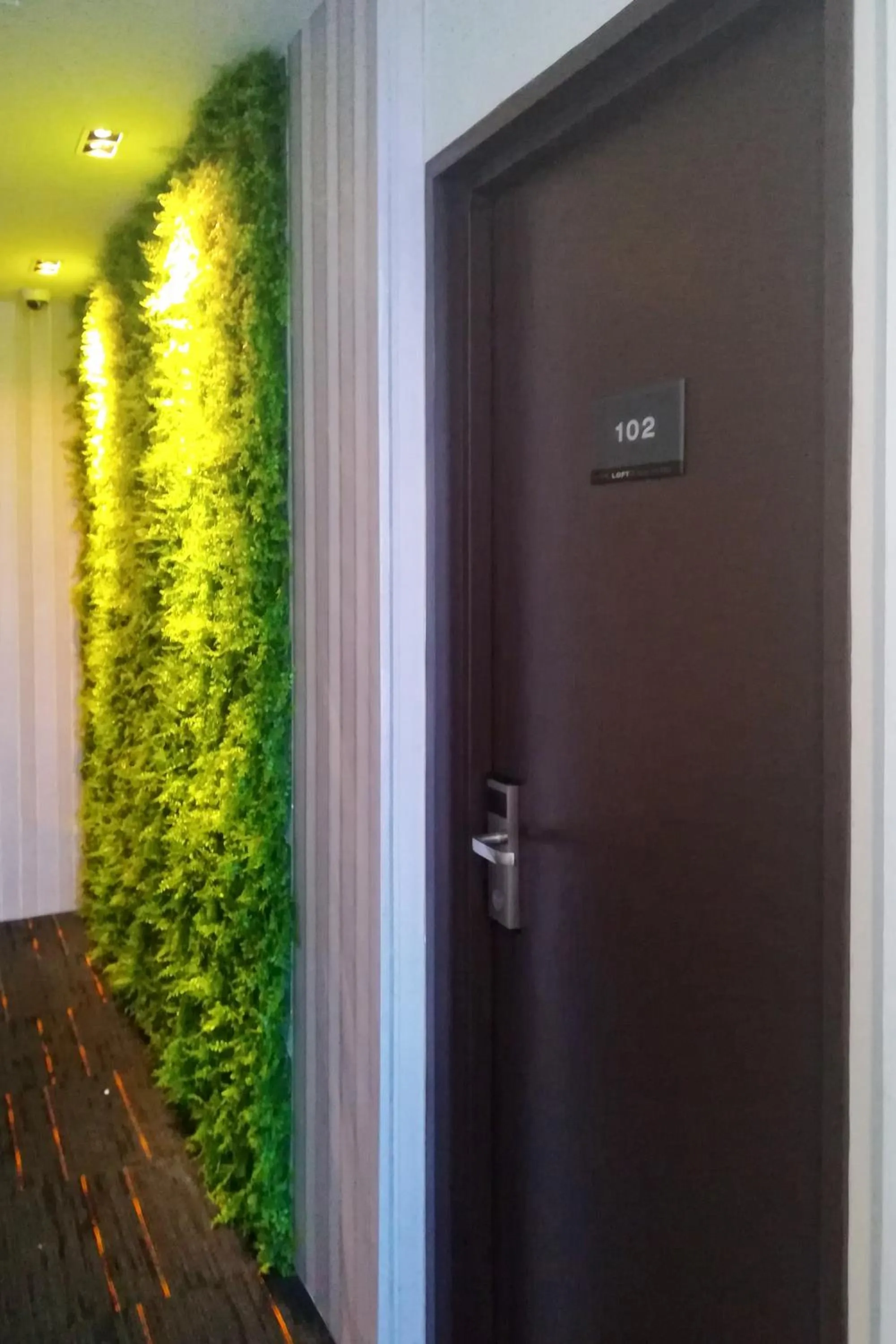 Property building in The Loft Plaza Hotel