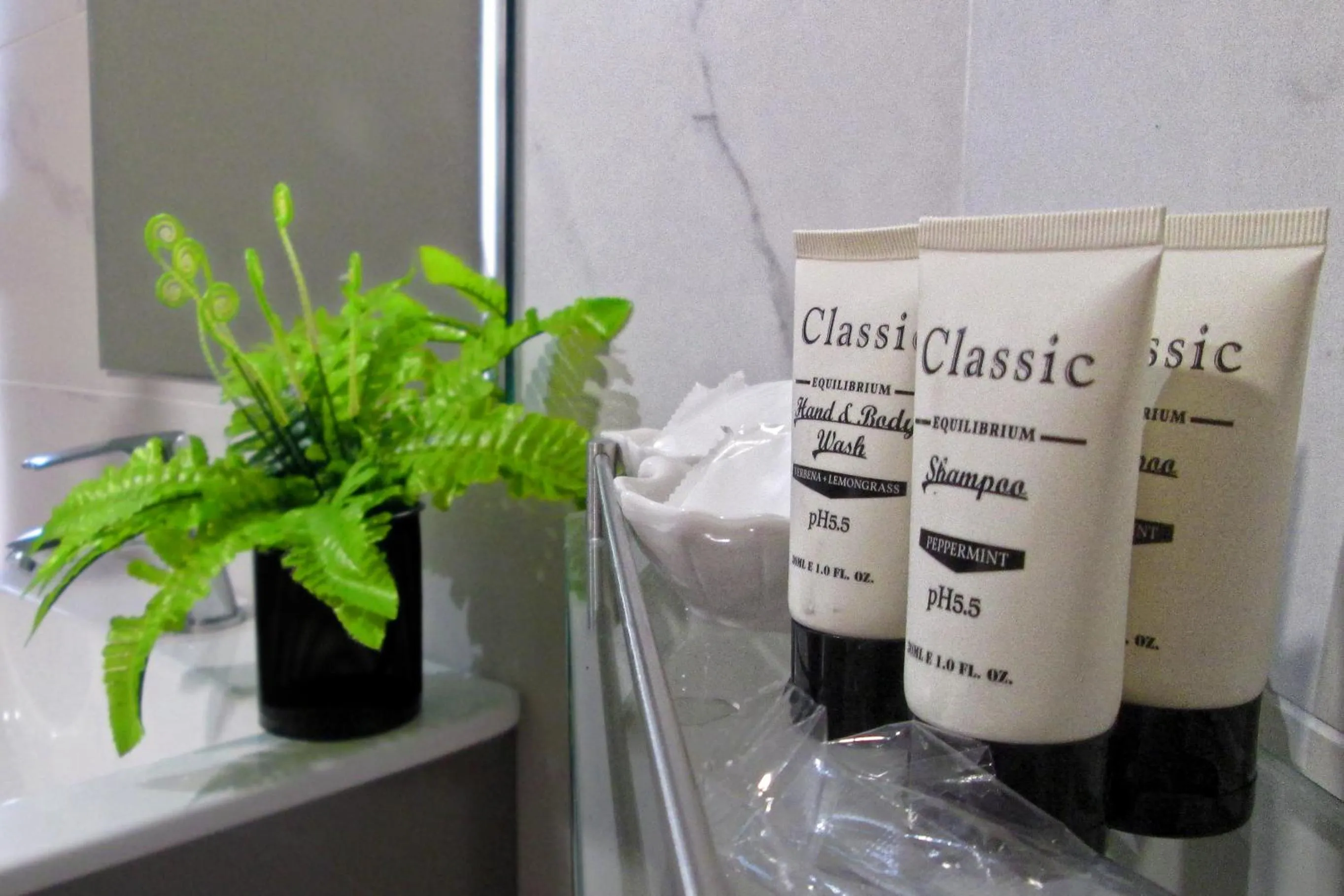 The Loft Plaza Hotel