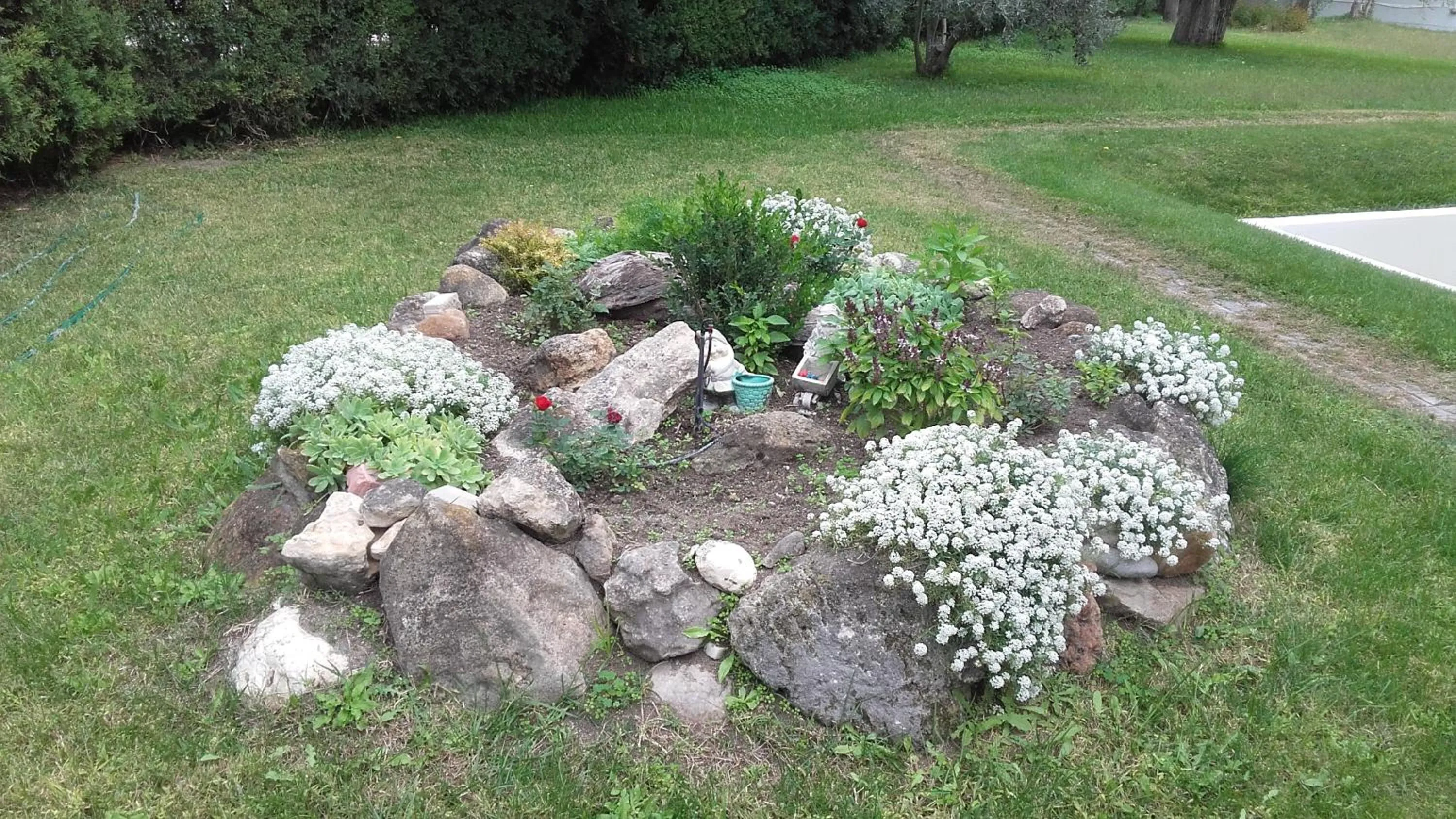 Garden in Bella Grecia