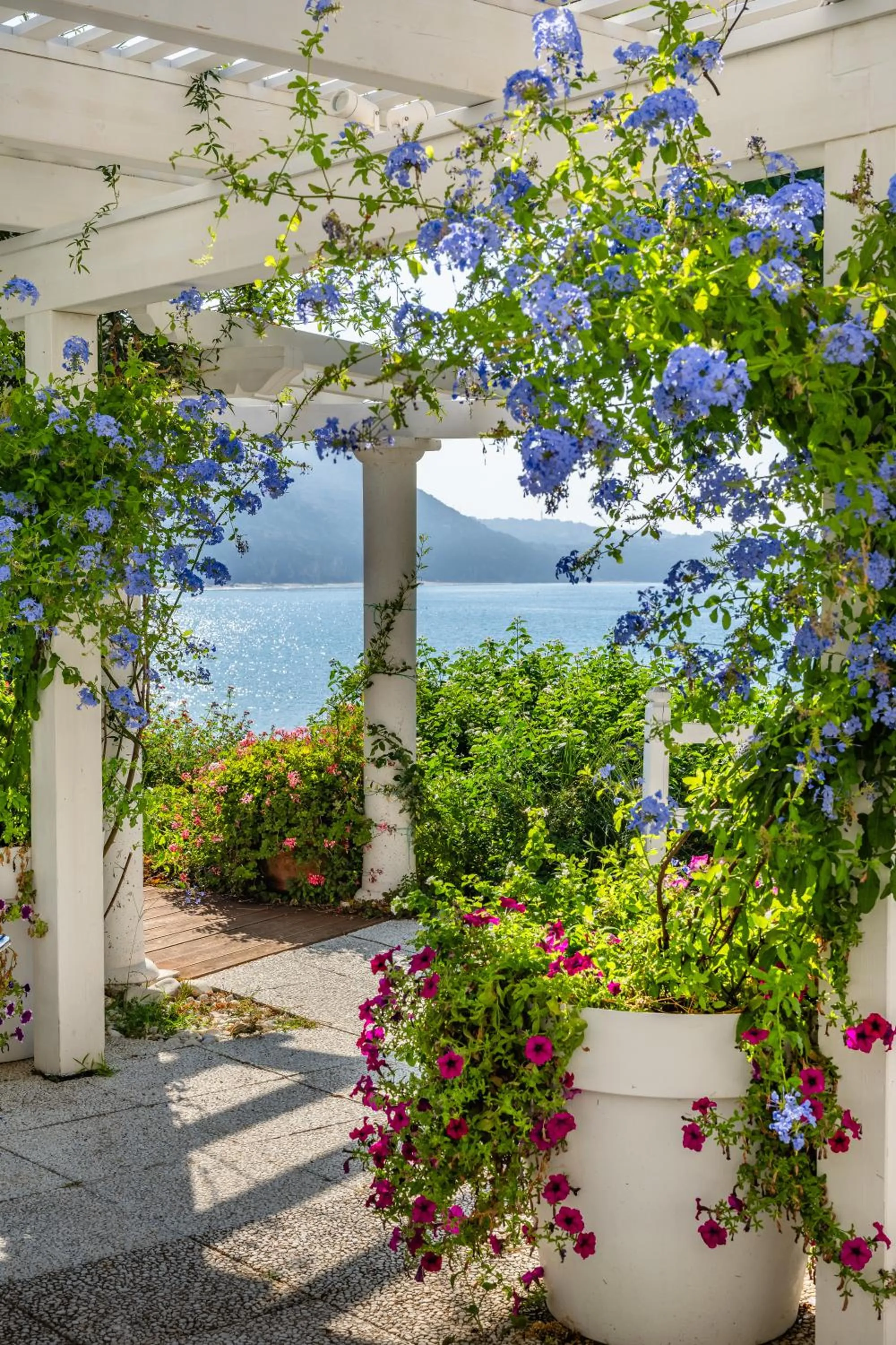 Balcony/Terrace in Grand Hotel Il Ninfeo