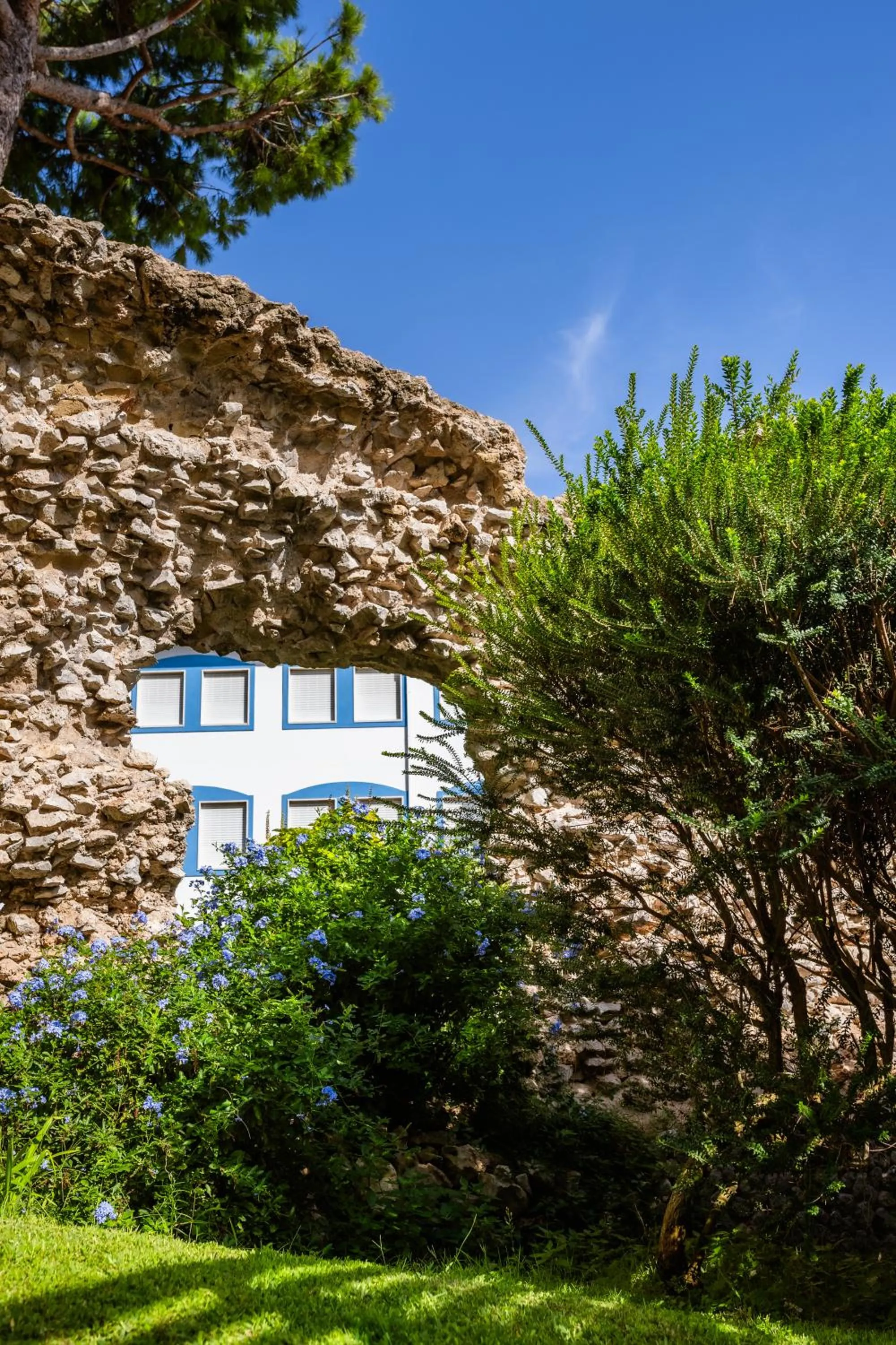 Garden in Grand Hotel Il Ninfeo