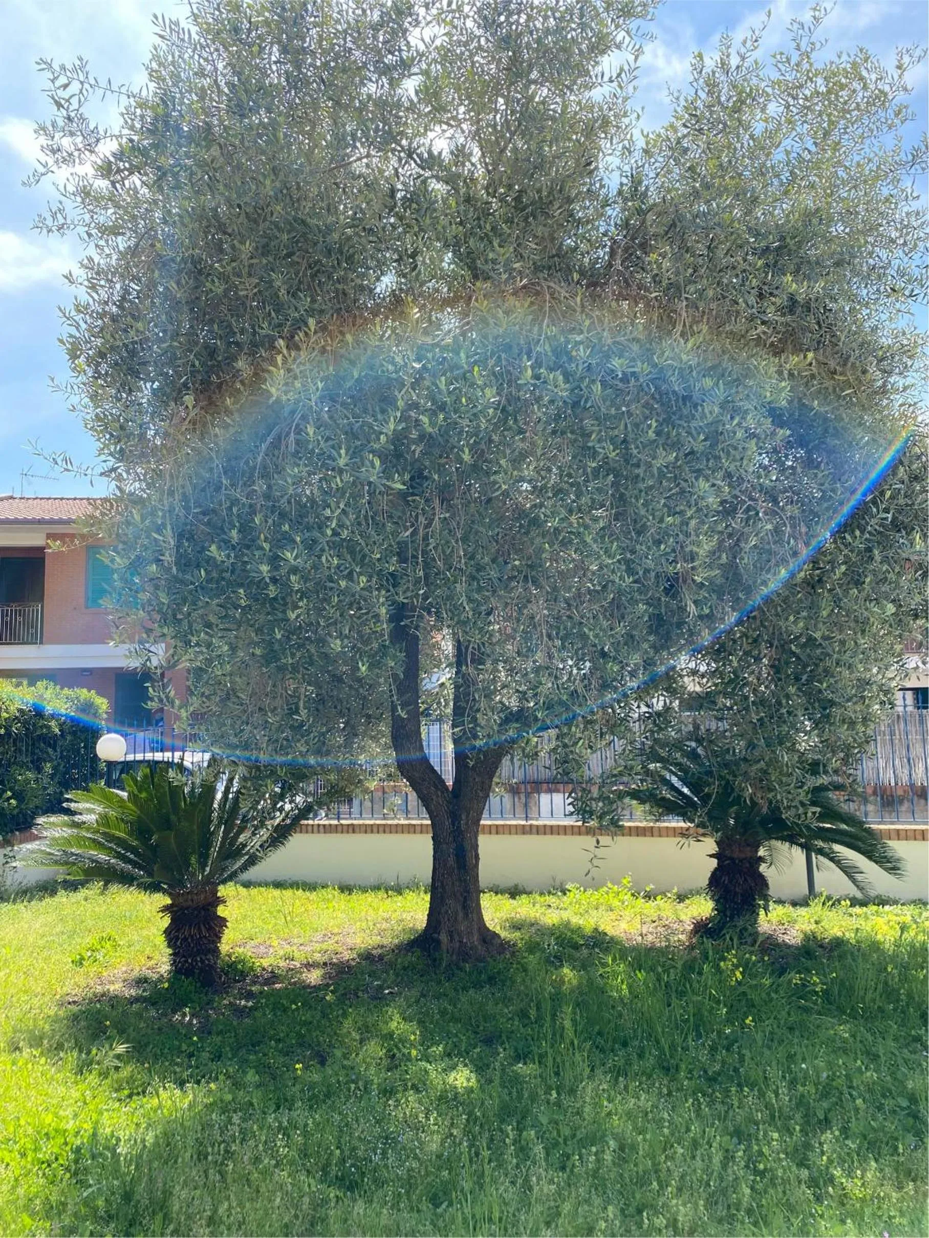 Garden in Residenza Le Spiagge