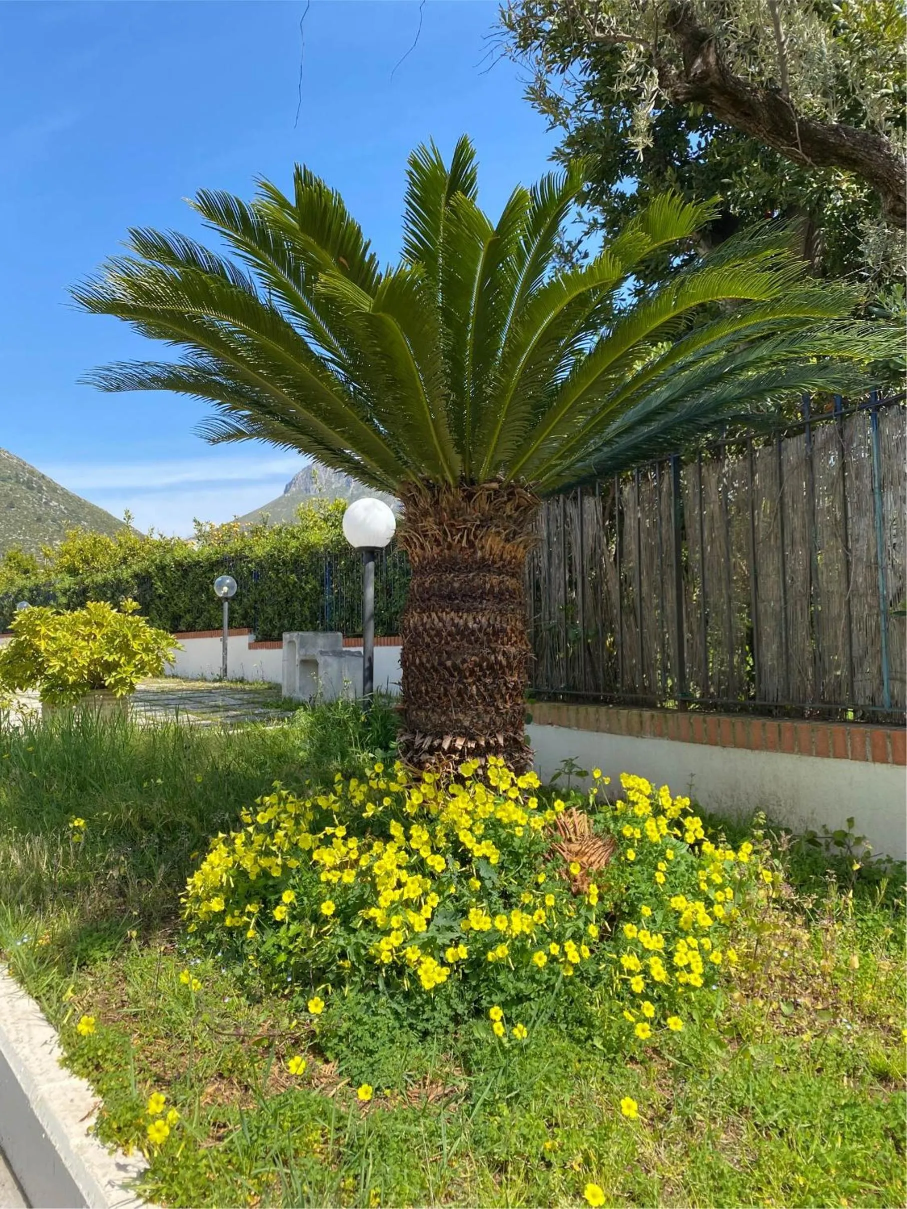 Garden in Residenza Le Spiagge