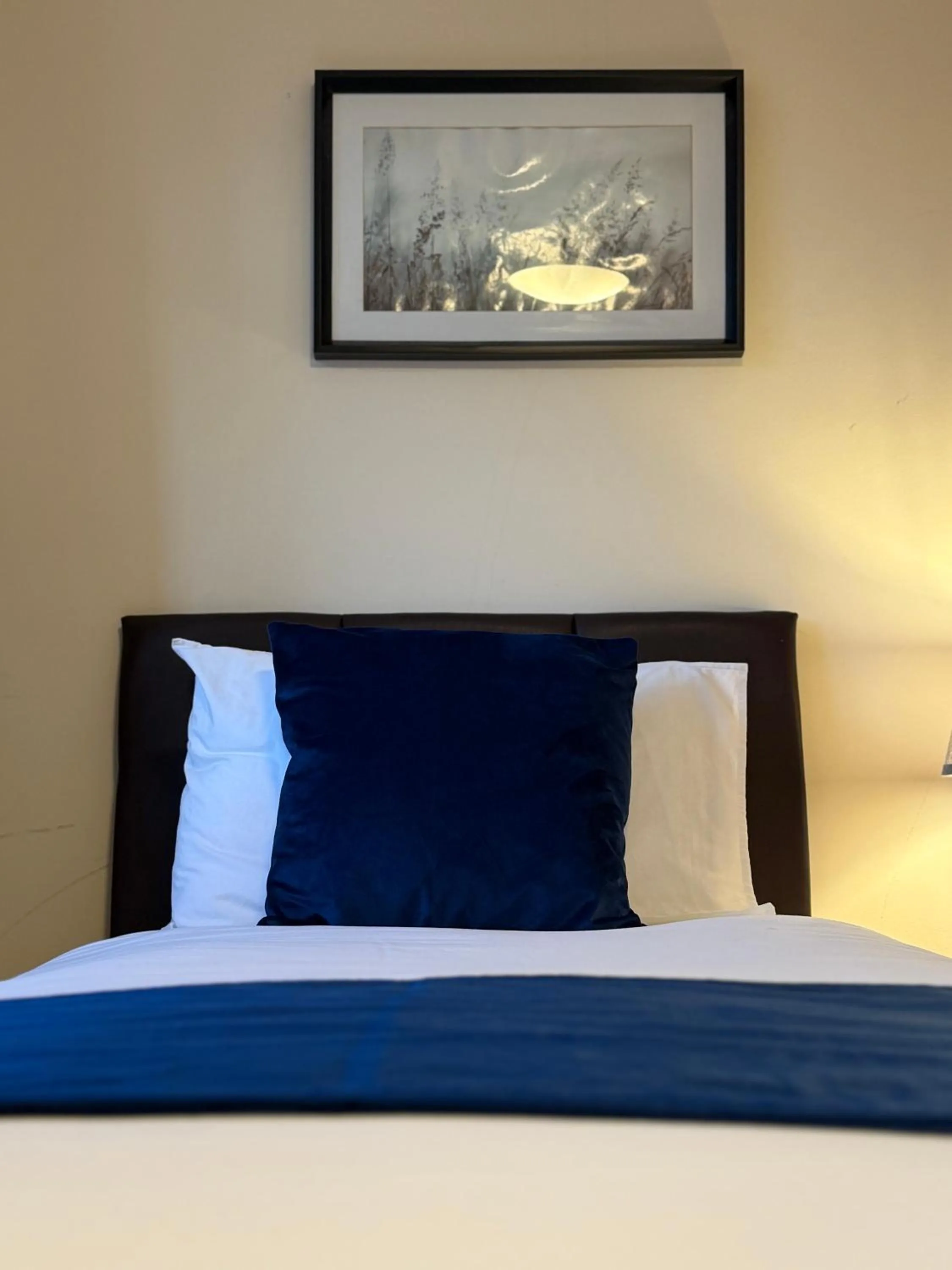 Bed in Clifton House Brighton