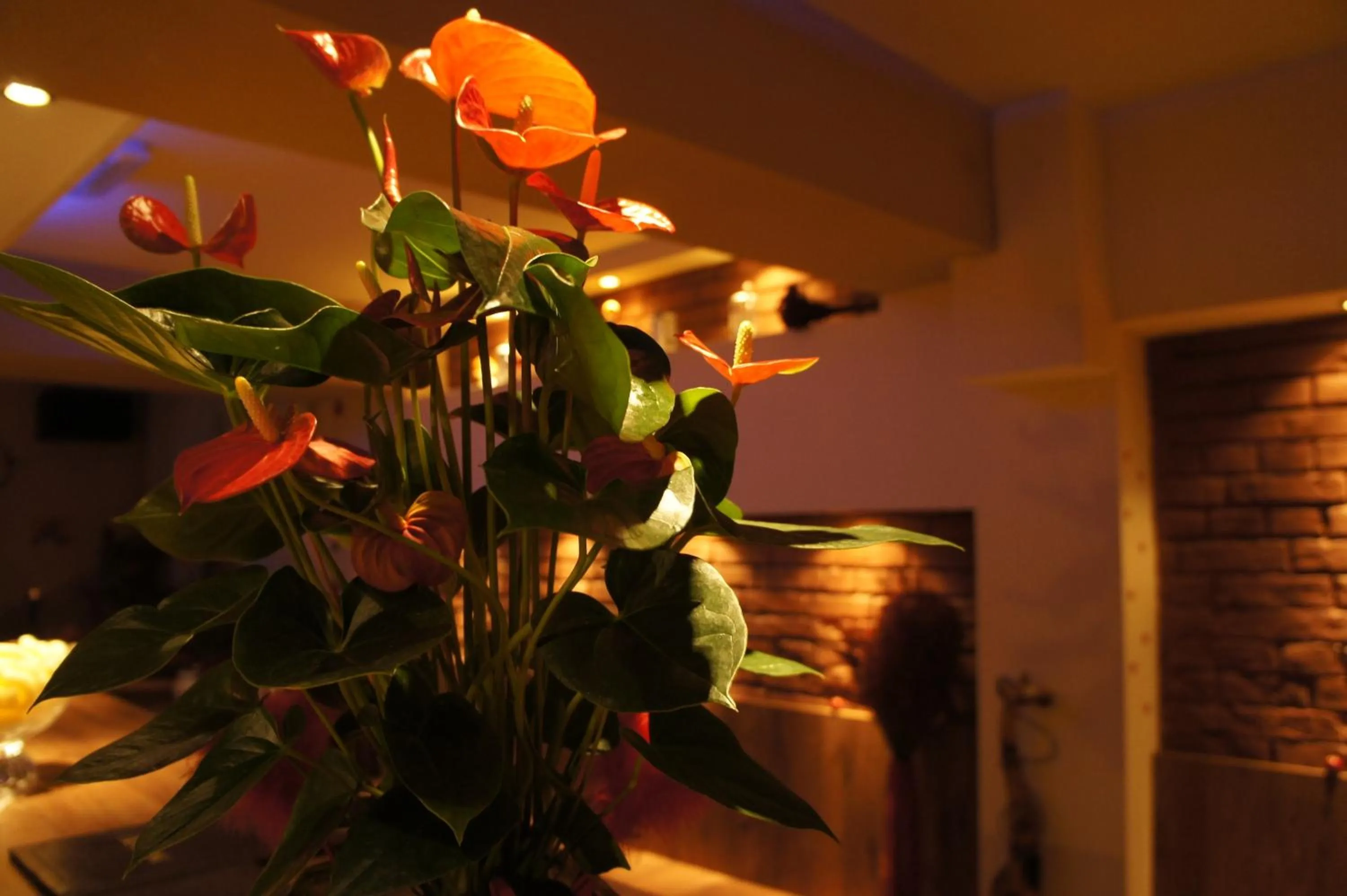 Decorative detail in Nu Hotel