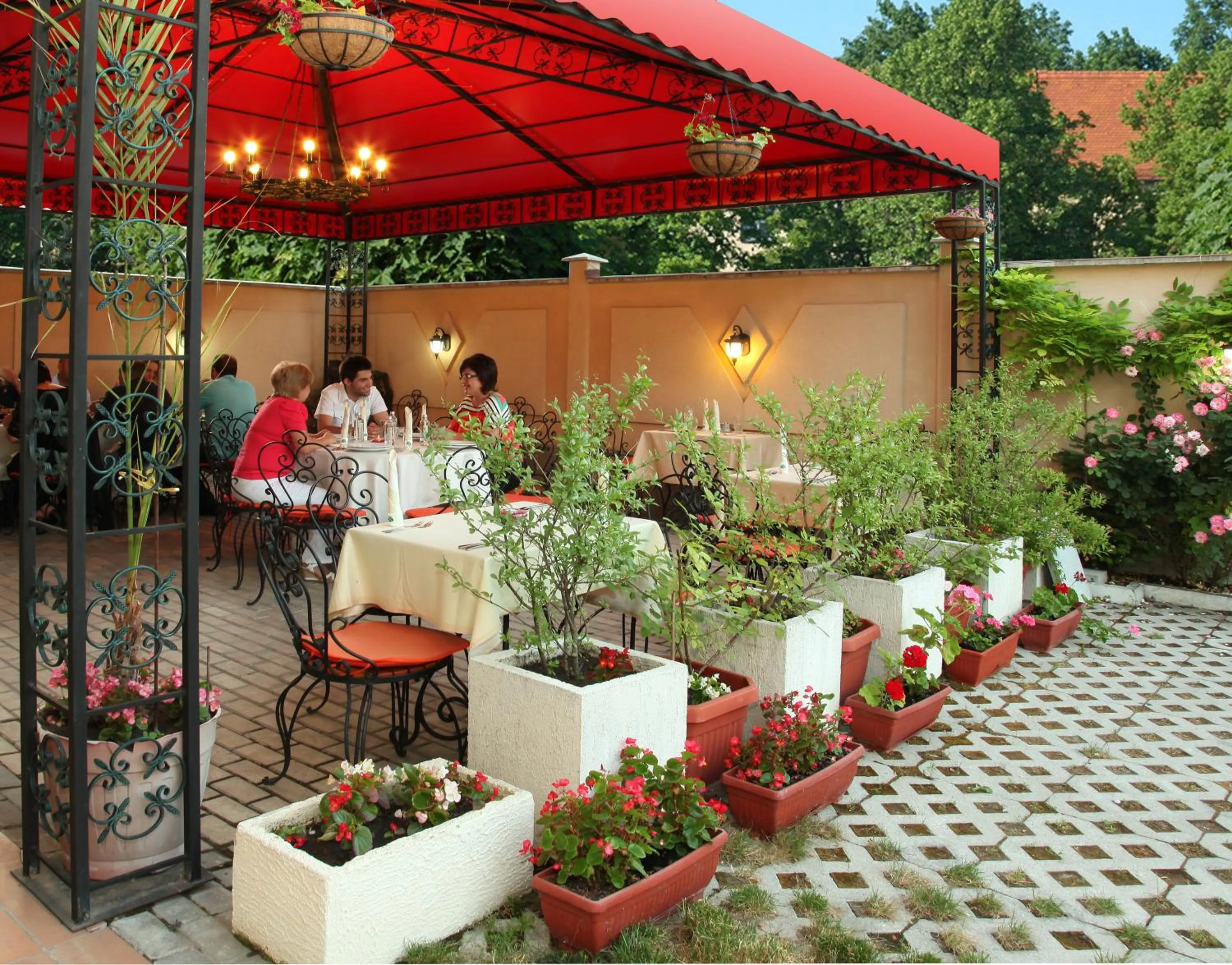 Garden in Contessa Hotel