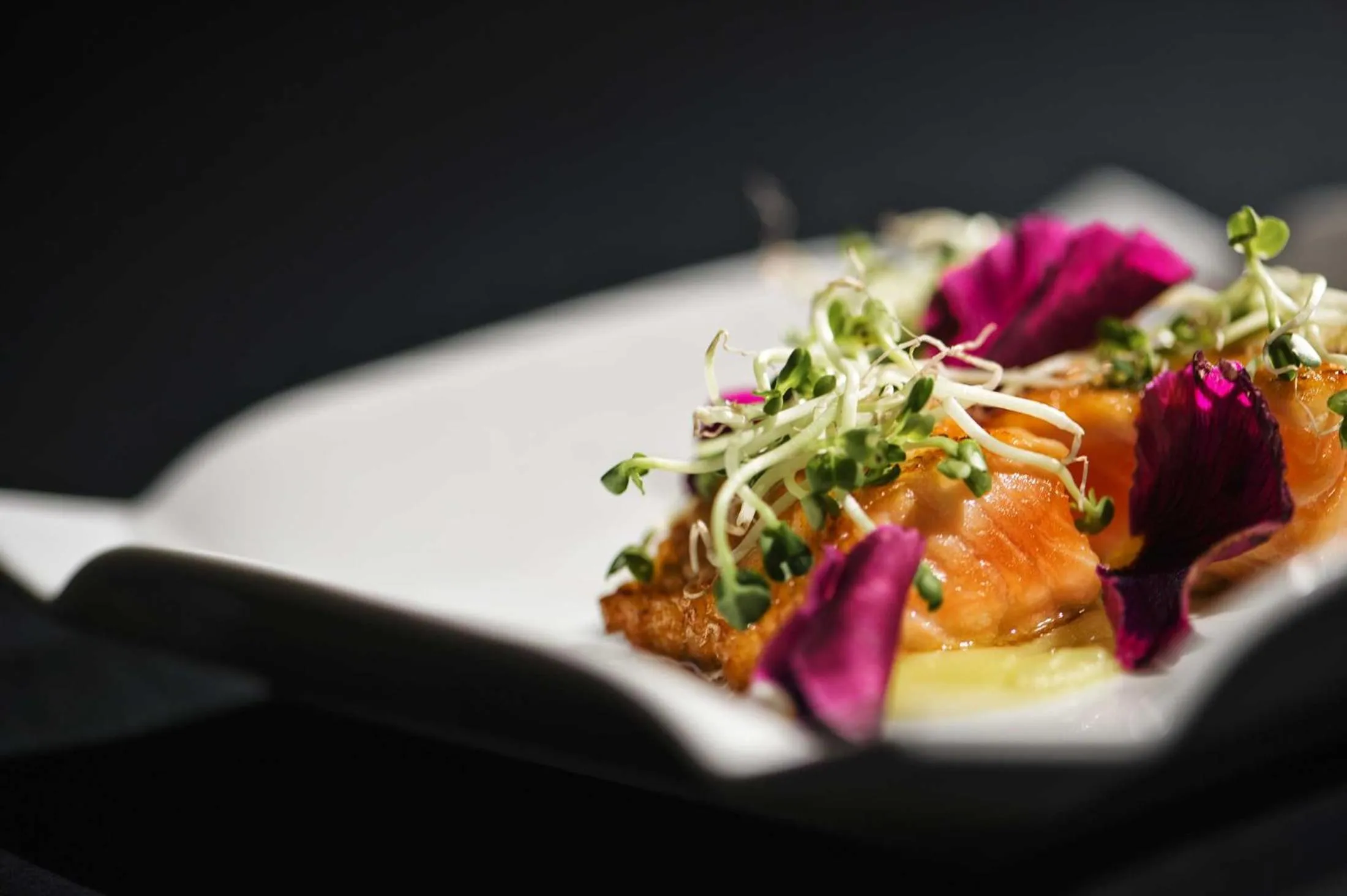 Restaurant/places to eat in Grande Albergo Miramare