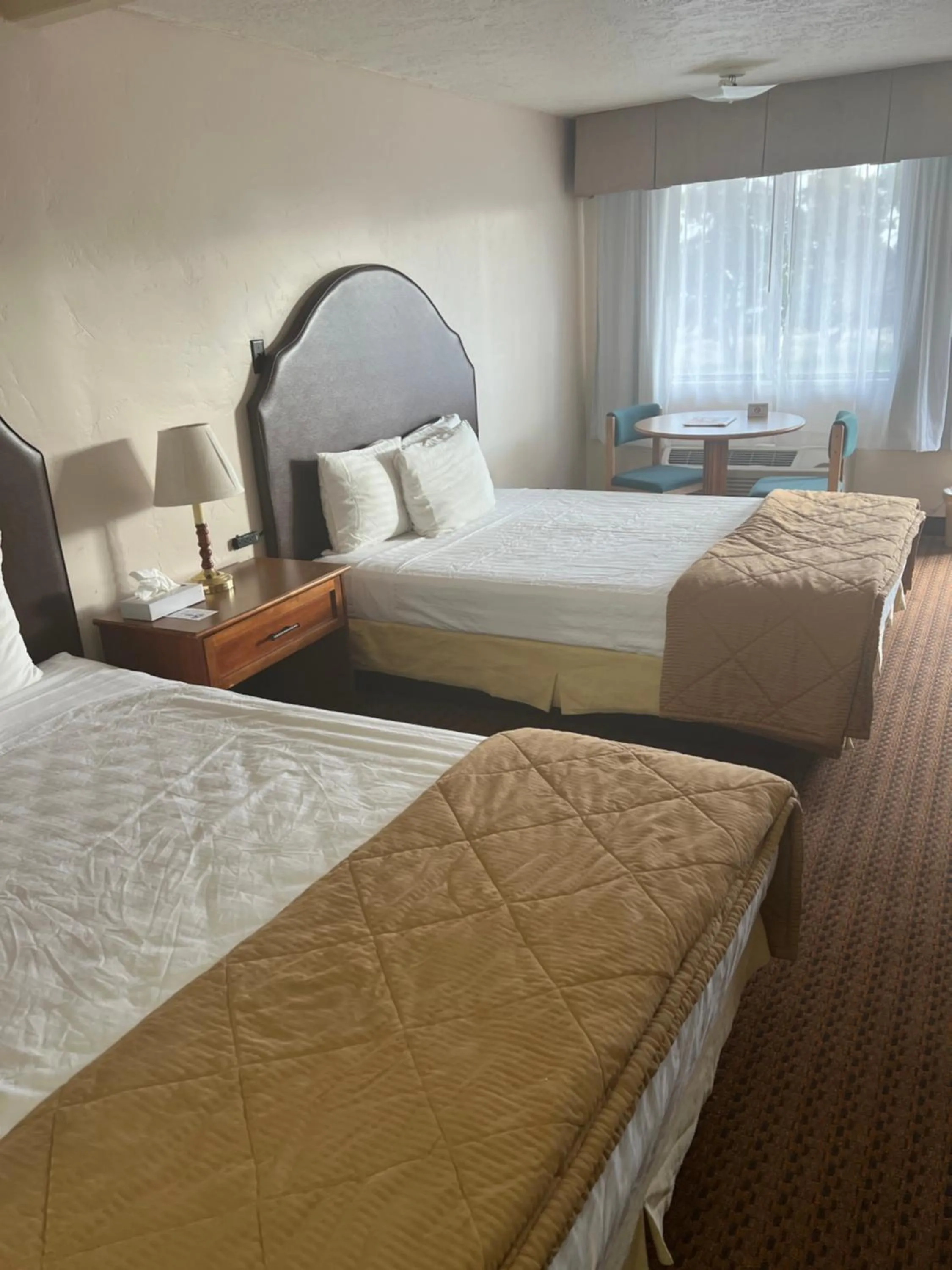 Bed in Prospector Motor Lodge