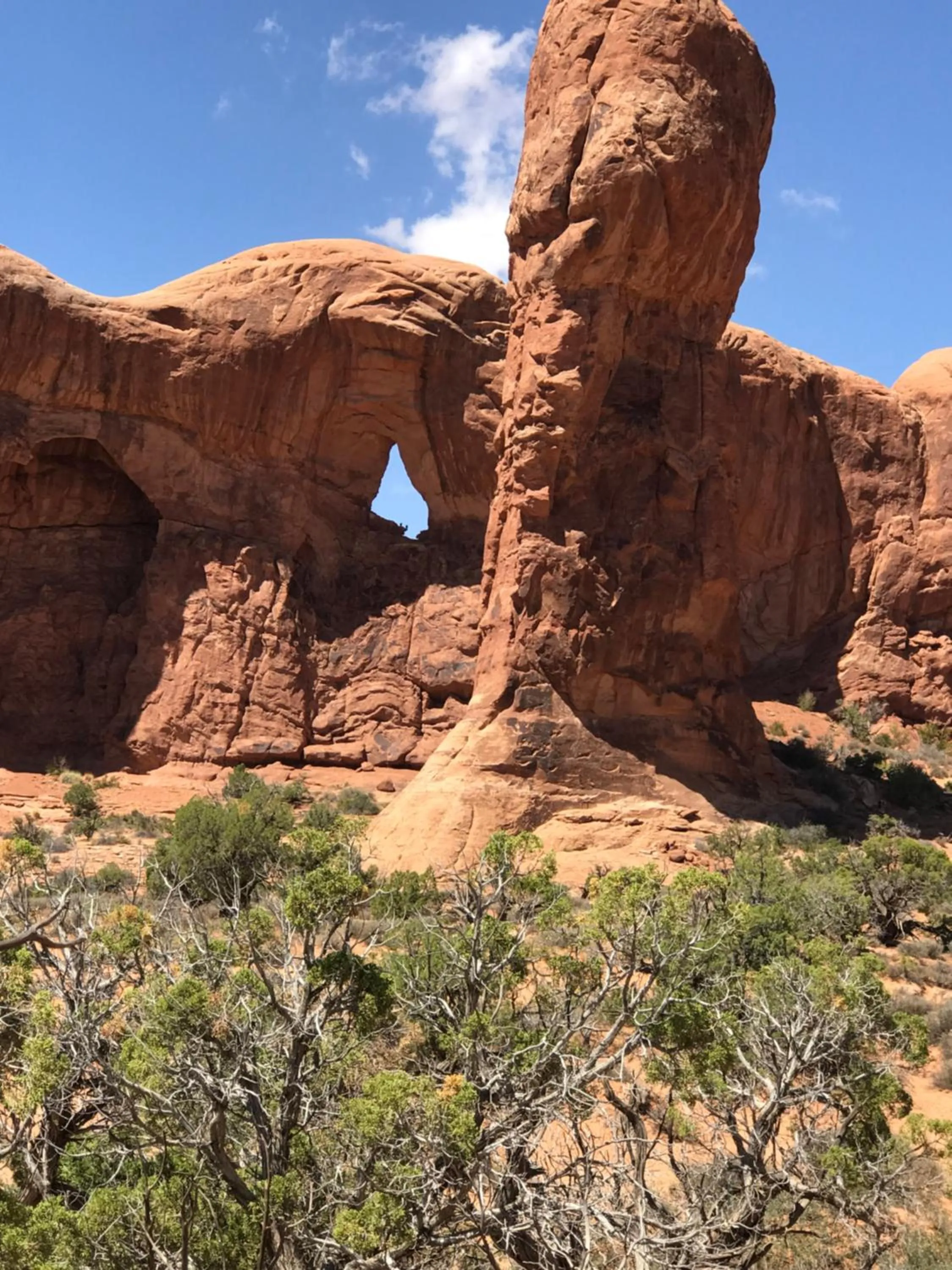 Prospector Motor Lodge