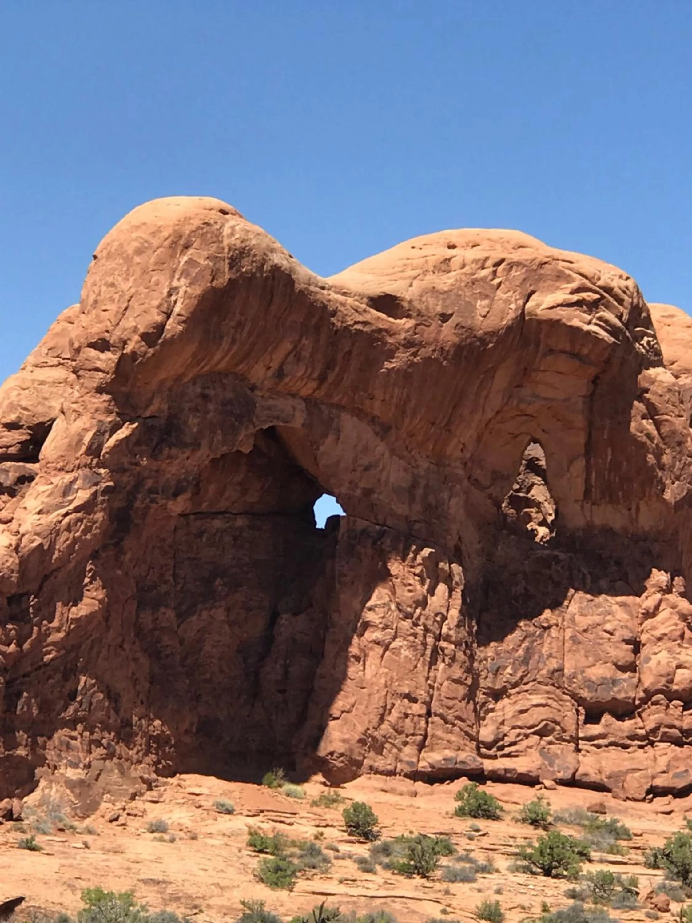 Prospector Motor Lodge