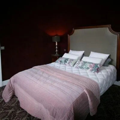 Bed in Château de la gauderie