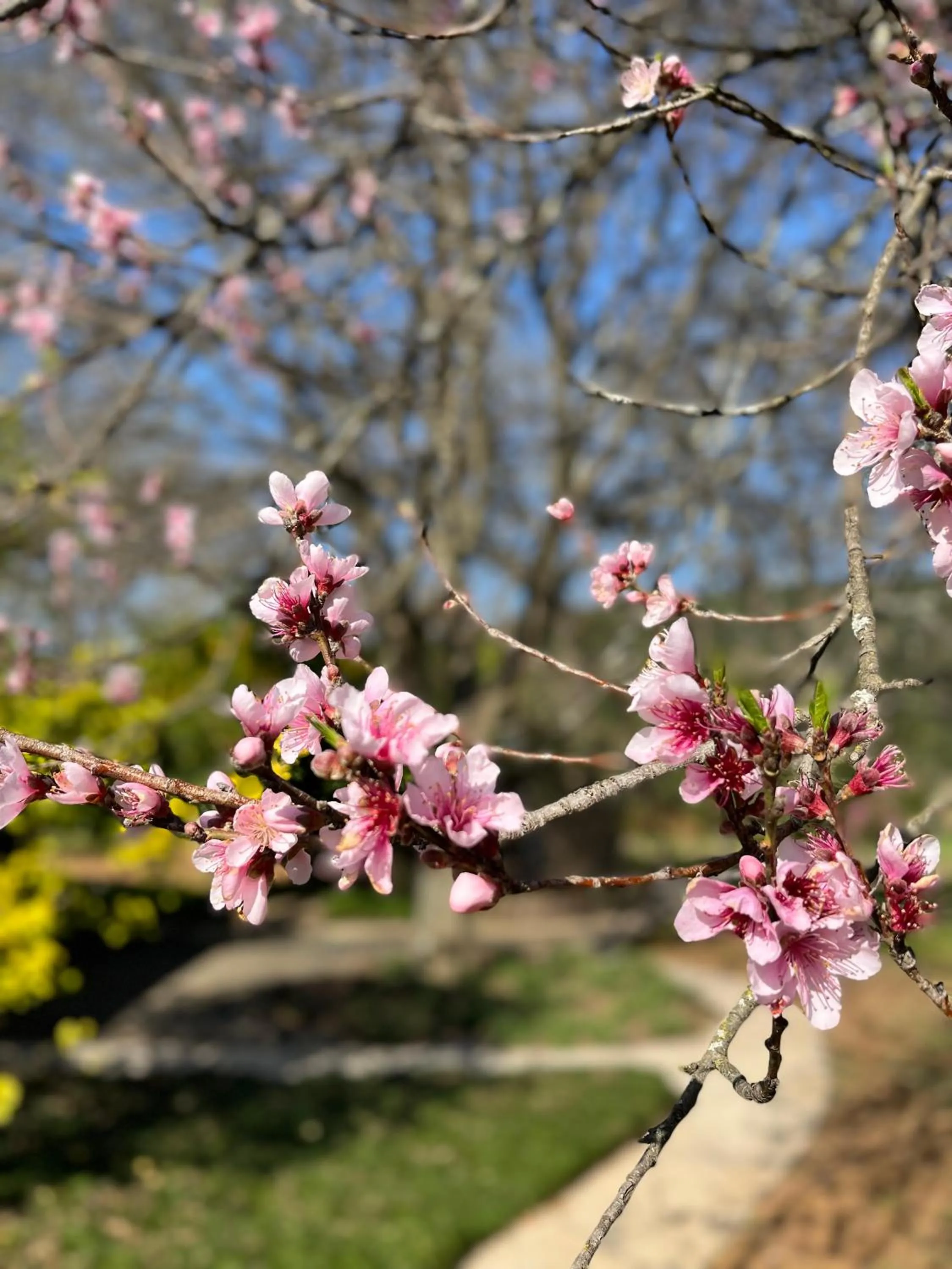 Gowan Valley Guest Farm